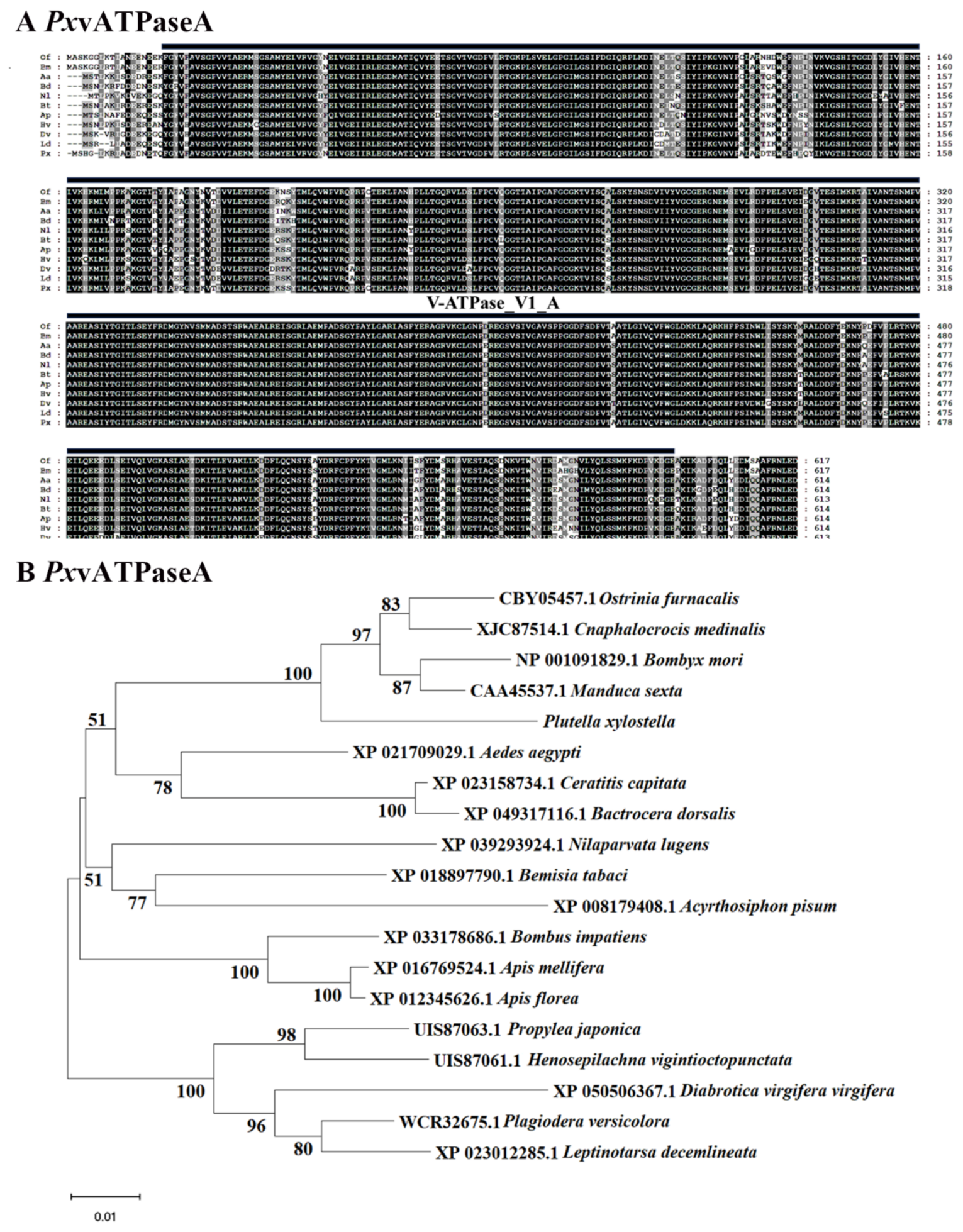 Preprints 227571 g001 Preprints 227571 g001