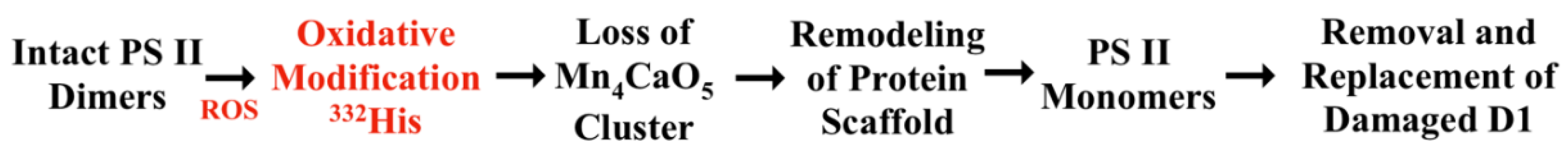 Preprints 216485 g001