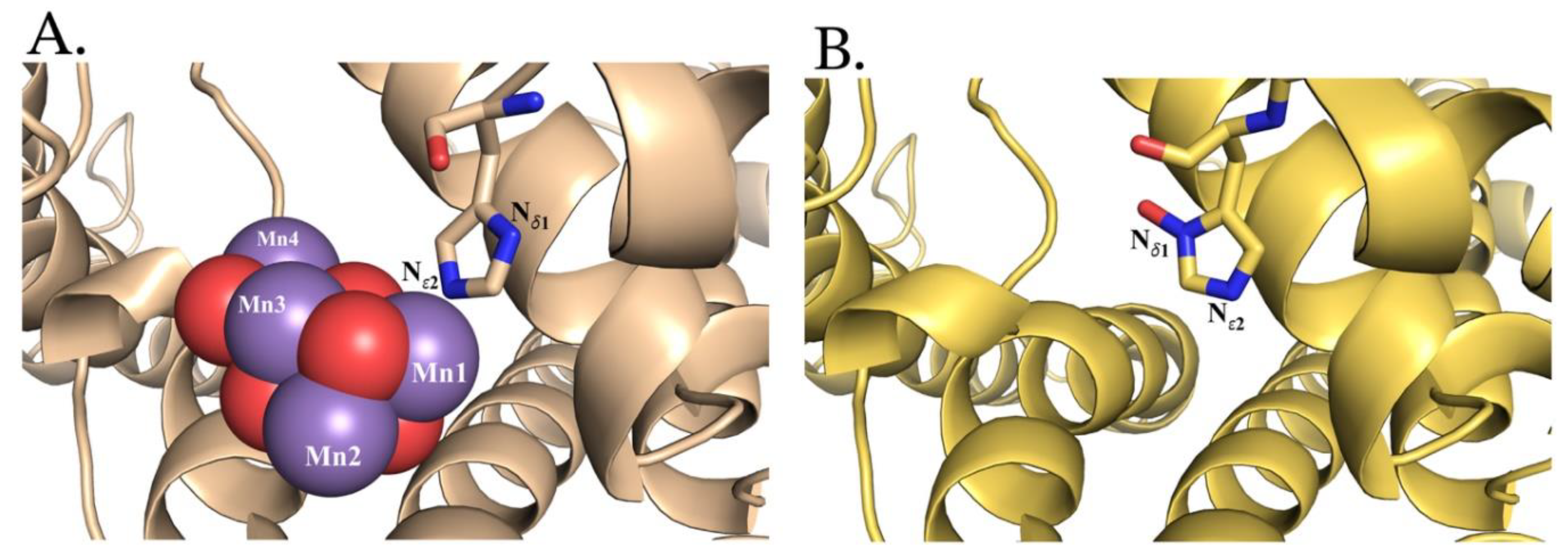 Preprints 216485 g002