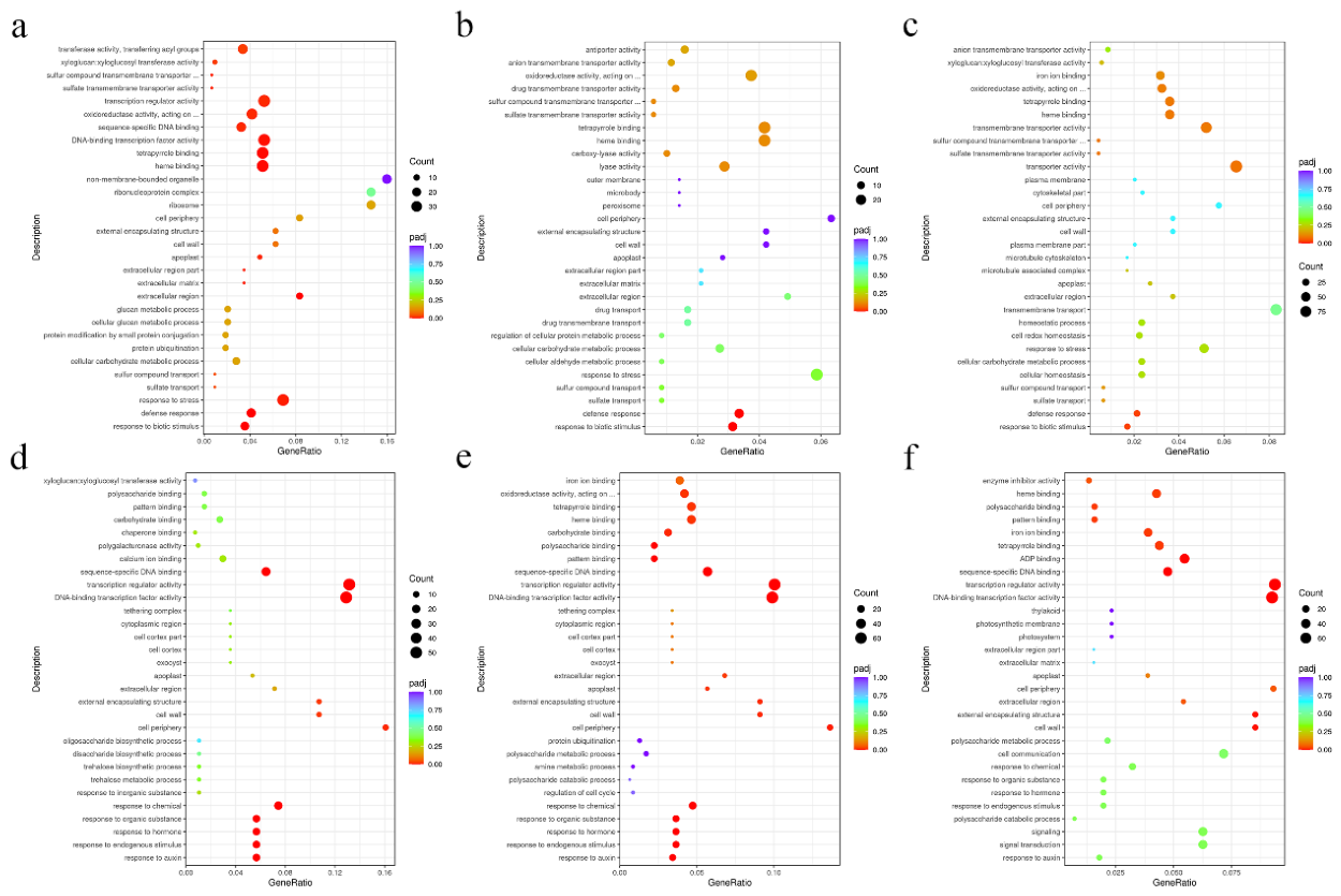 Preprints 227631 g004 Preprints 227631 g004