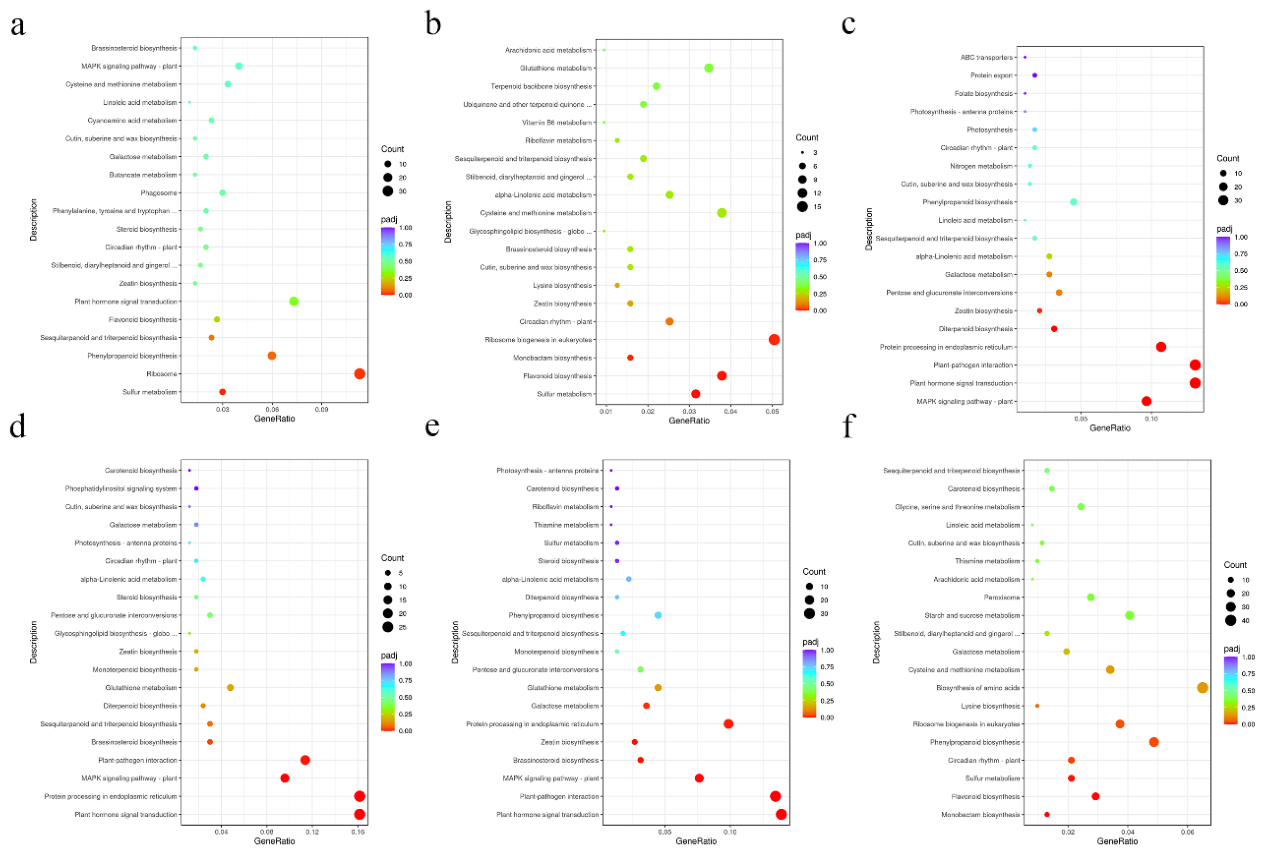 Preprints 227631 g005 Preprints 227631 g005