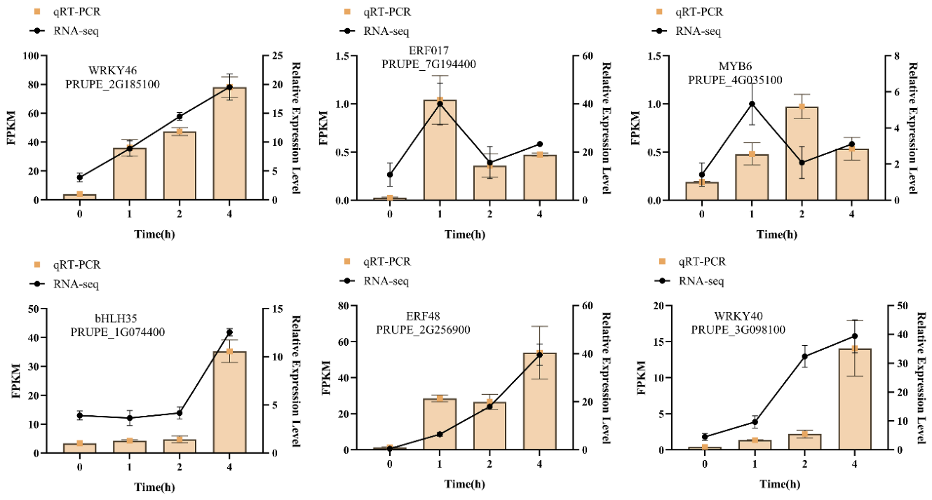 Preprints 227631 g006 Preprints 227631 g006