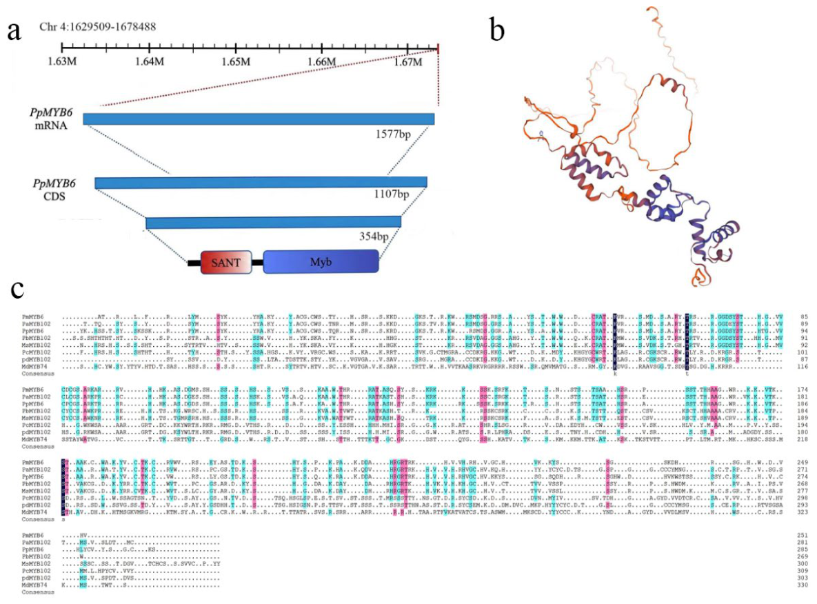 Preprints 227631 g007 Preprints 227631 g007