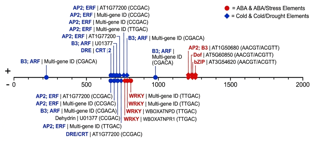Preprints 227631 g009 Preprints 227631 g009