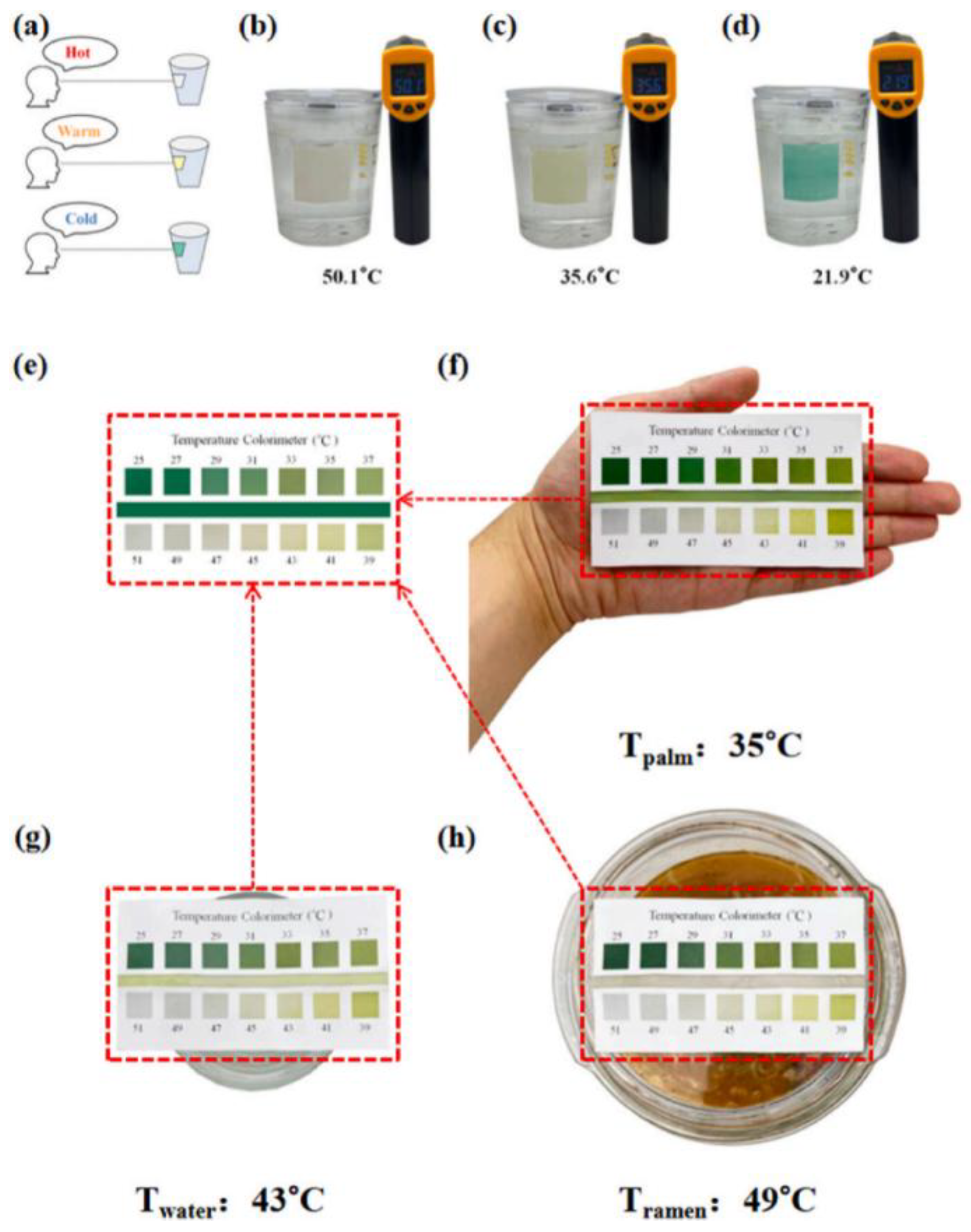 Preprints 186078 g001
