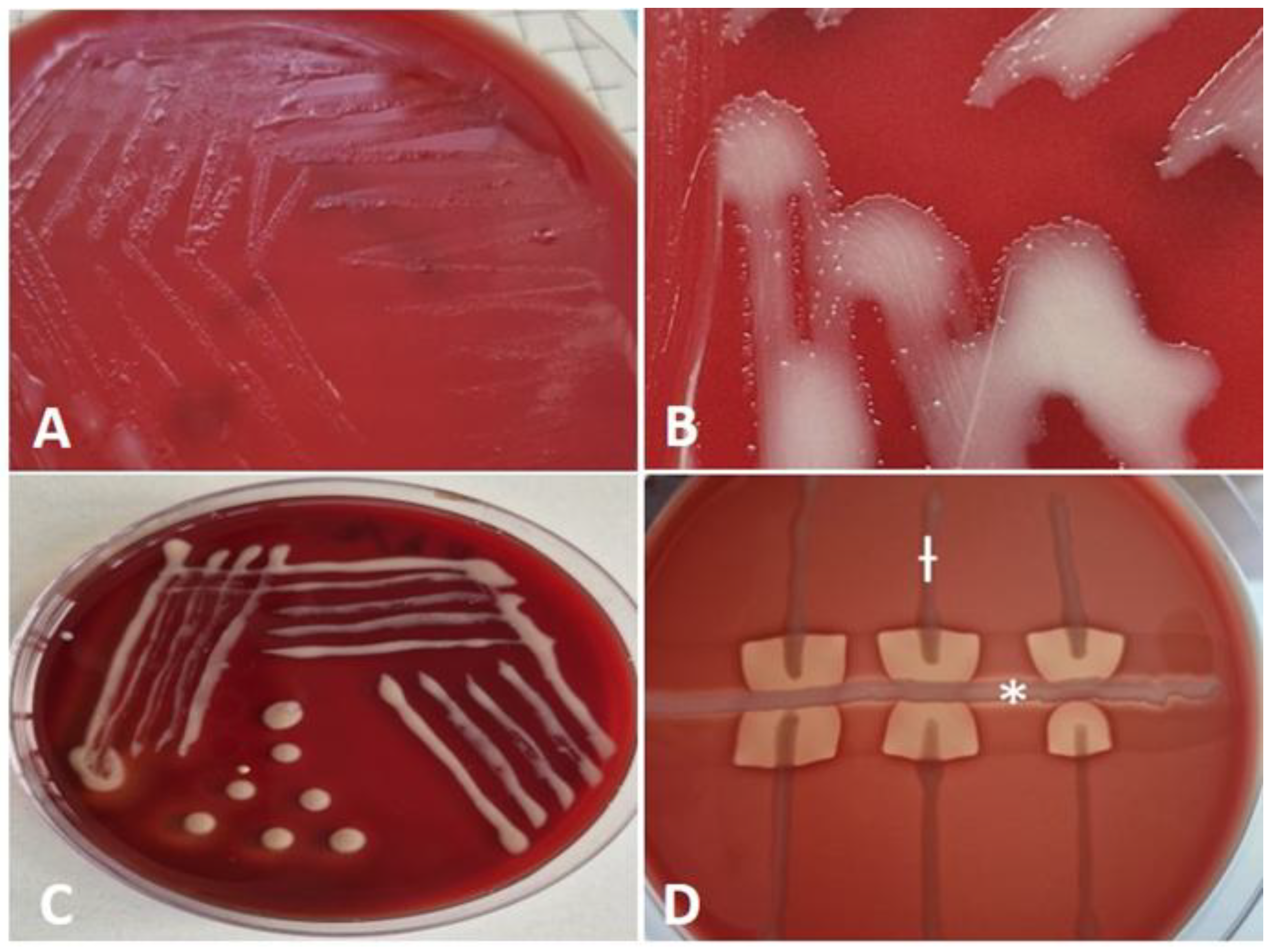 Preprints 164357 g002