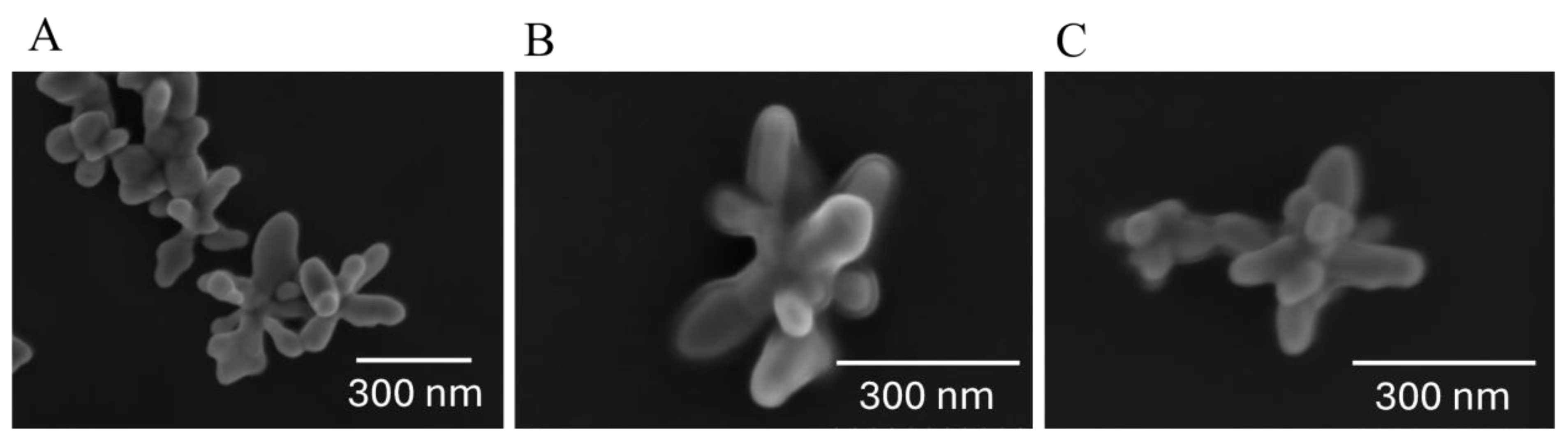 Preprints 144764 g003