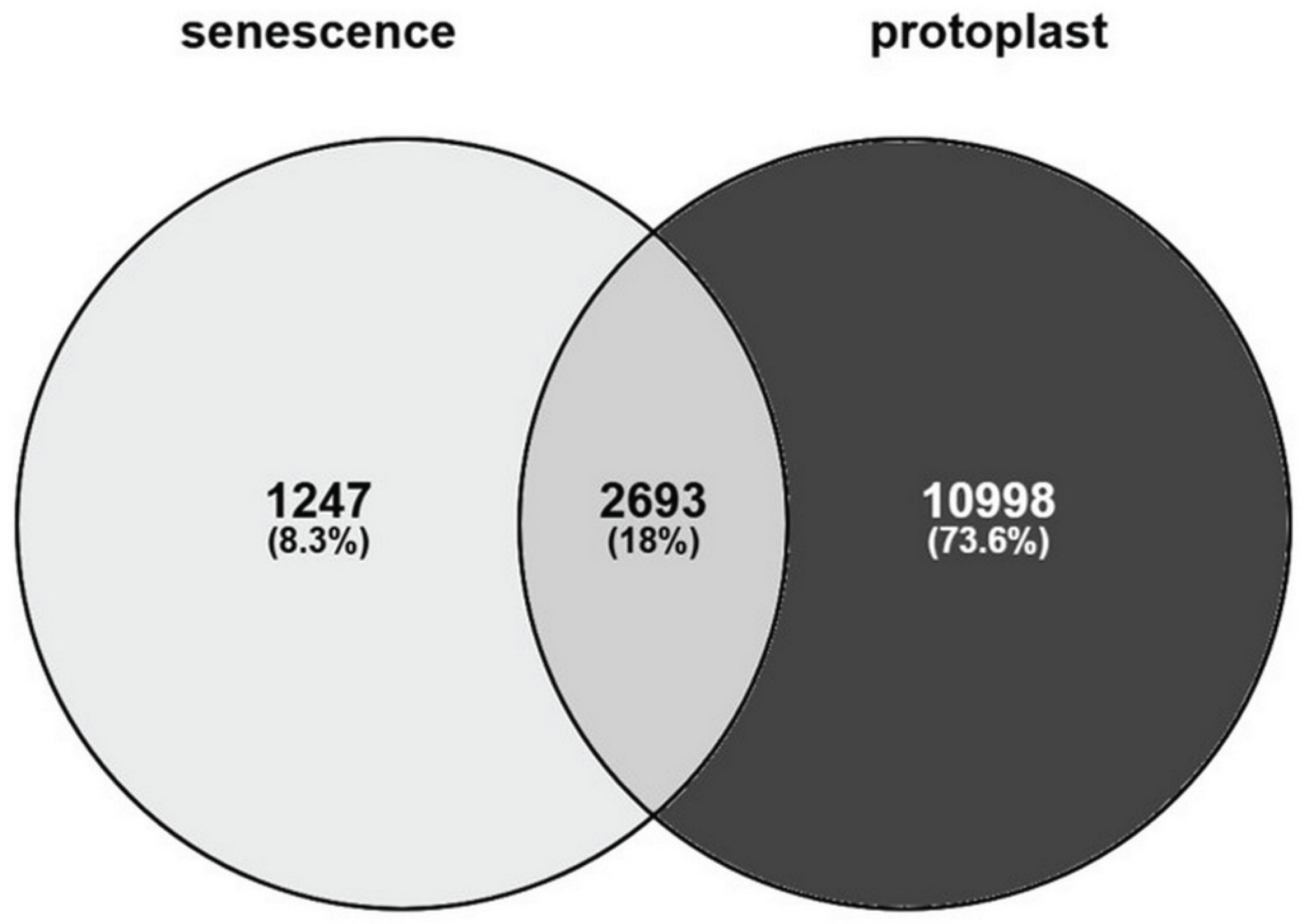 Preprints 192997 g001