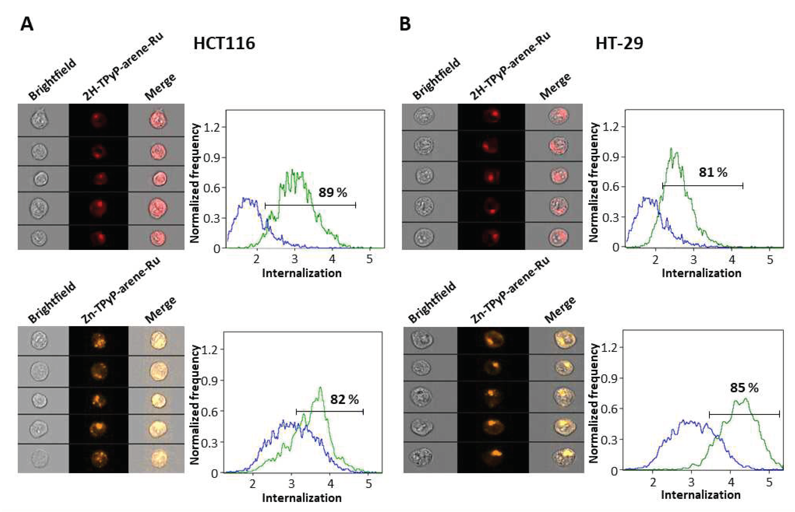 Preprints 86315 g005
