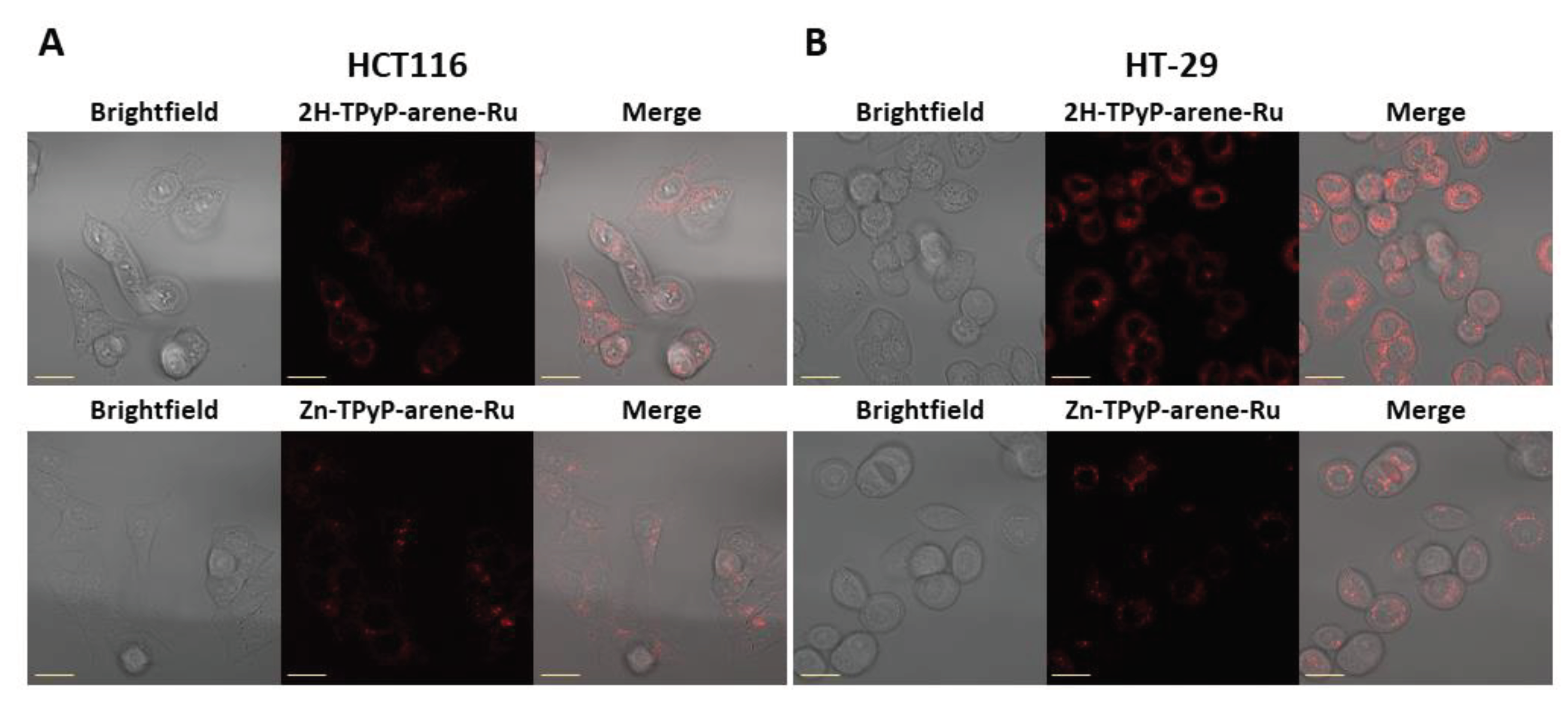 Preprints 86315 g006