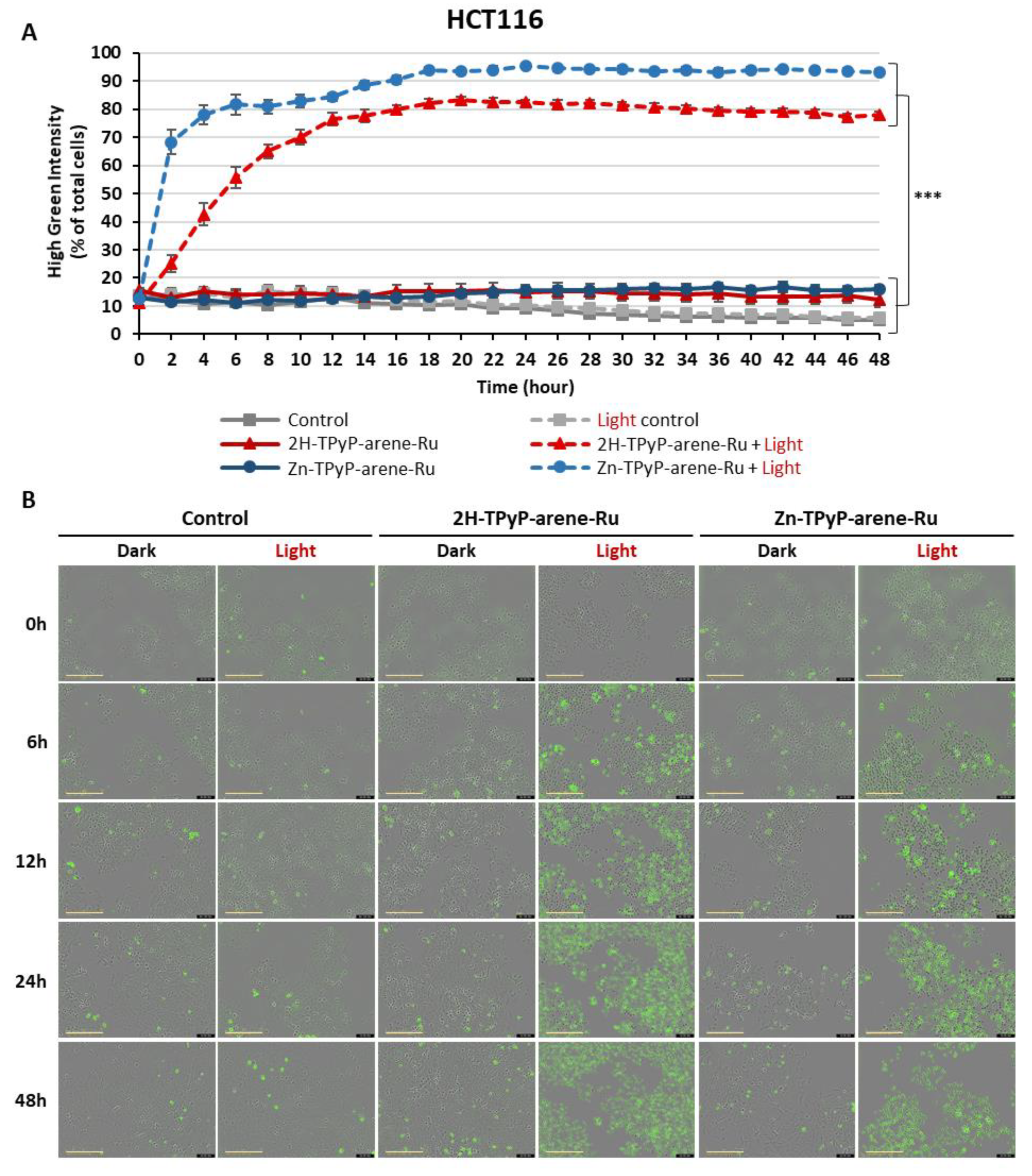Preprints 86315 g010