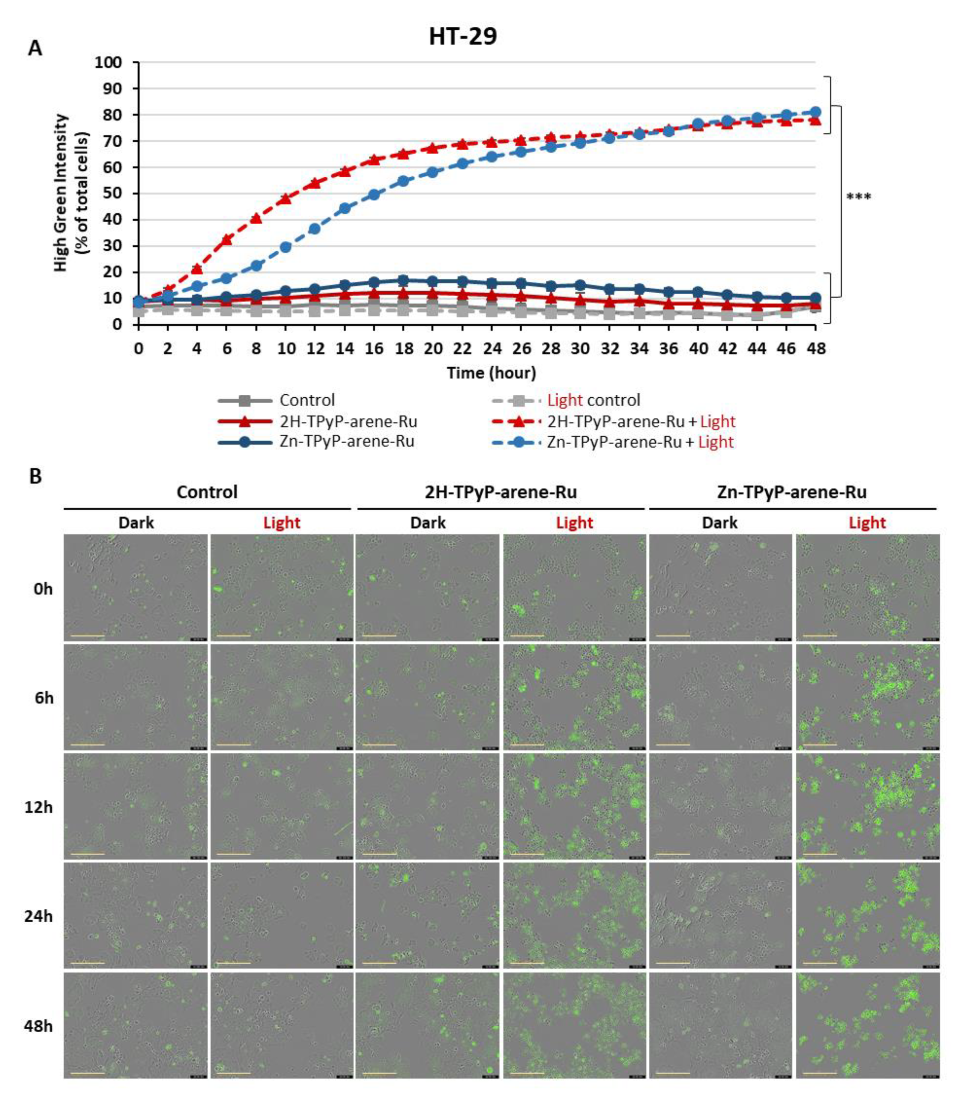 Preprints 86315 g011