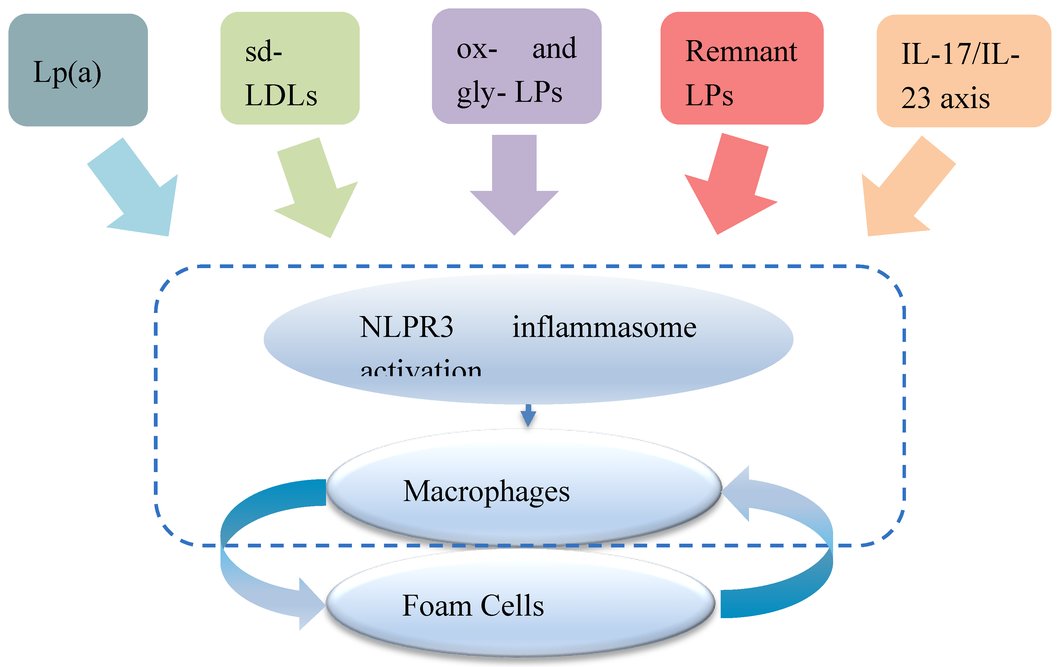 Preprints 180117 g004
