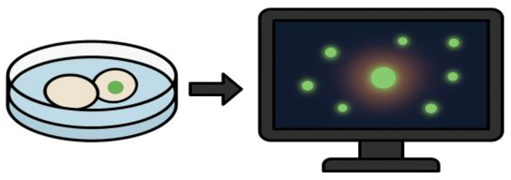 Preprints 165297 g004