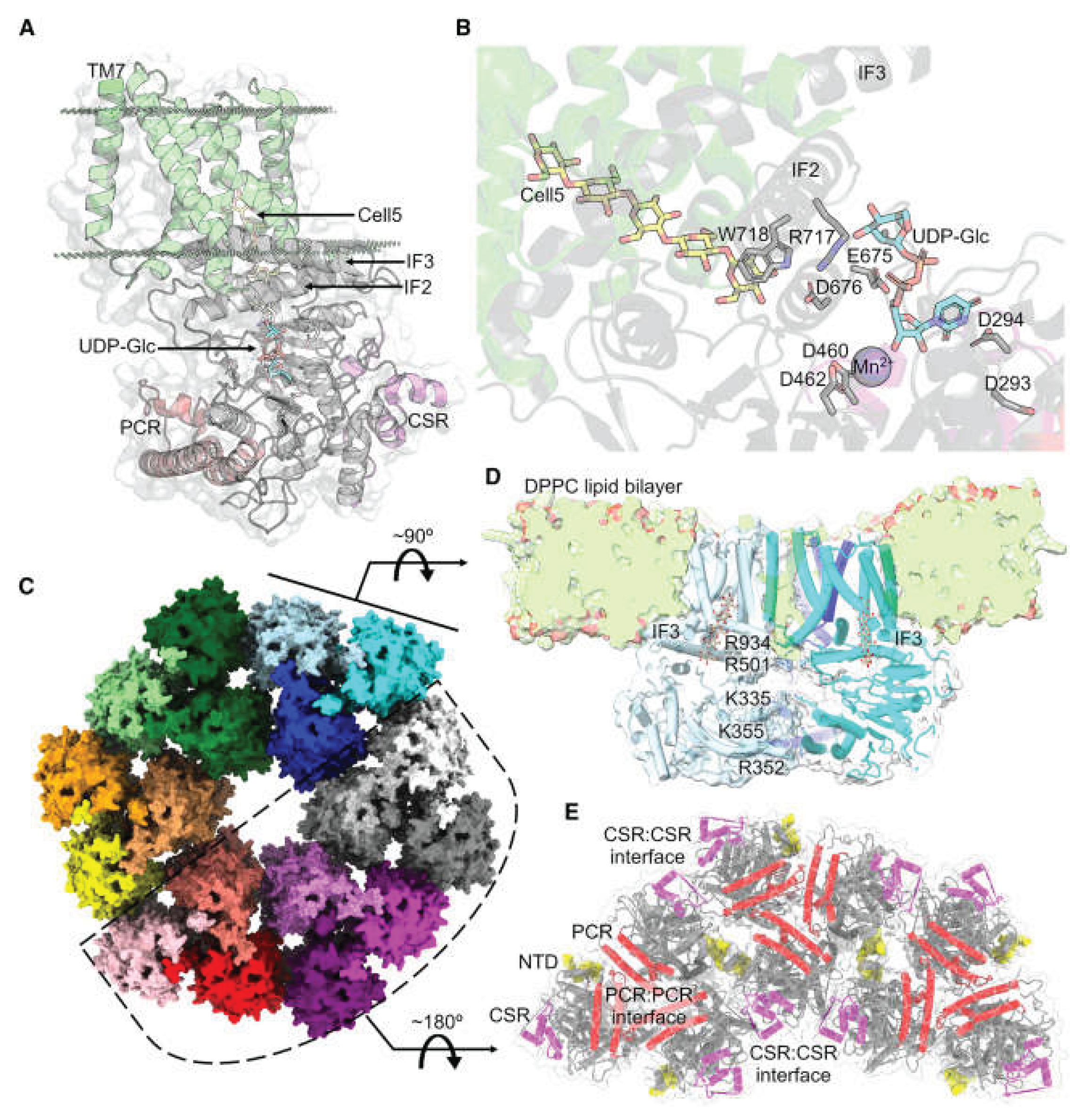 Preprints 214480 g016 Preprints 214480 g016