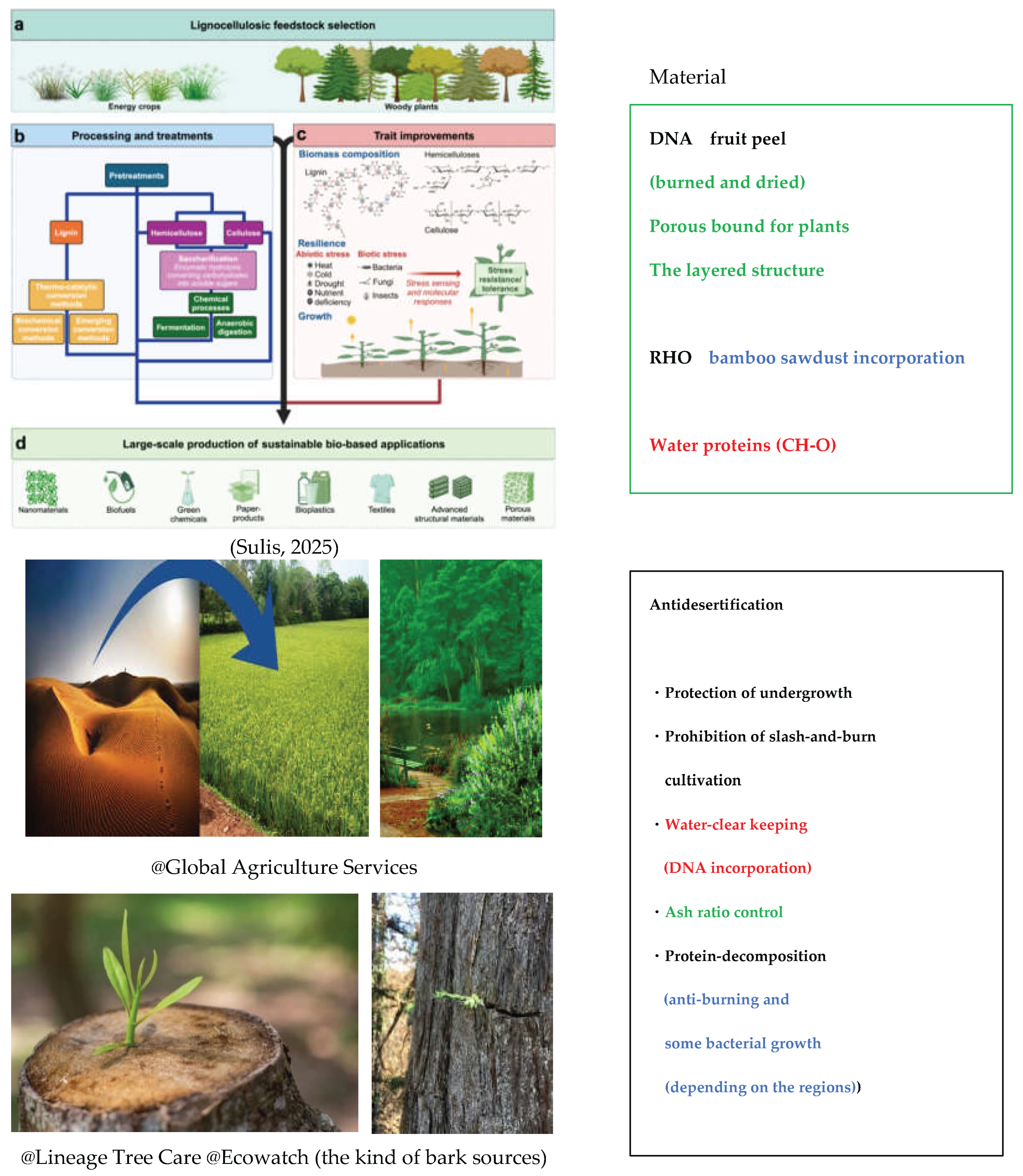 Preprints 214480 g027 Preprints 214480 g027