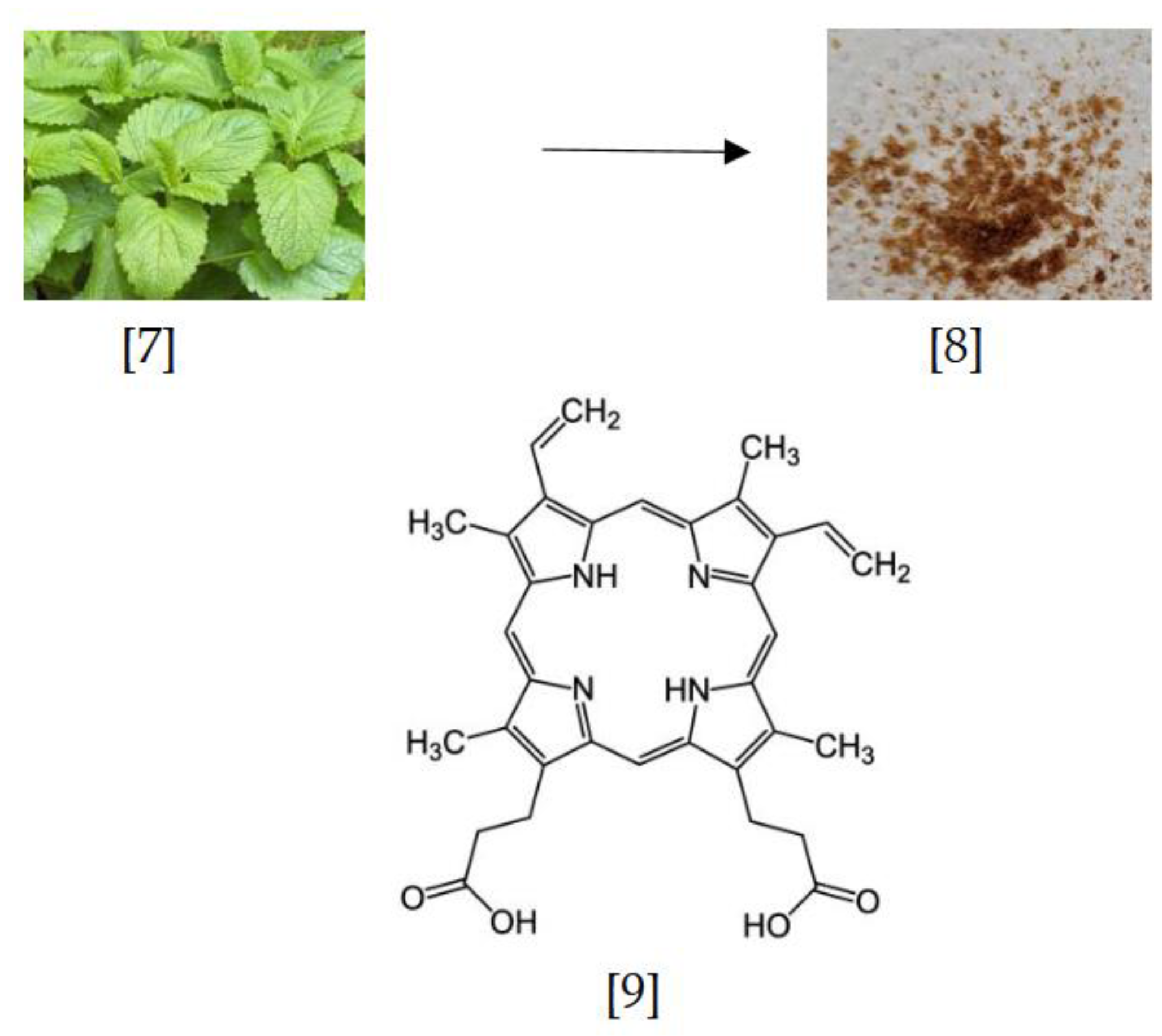 Preprints 154323 g010
