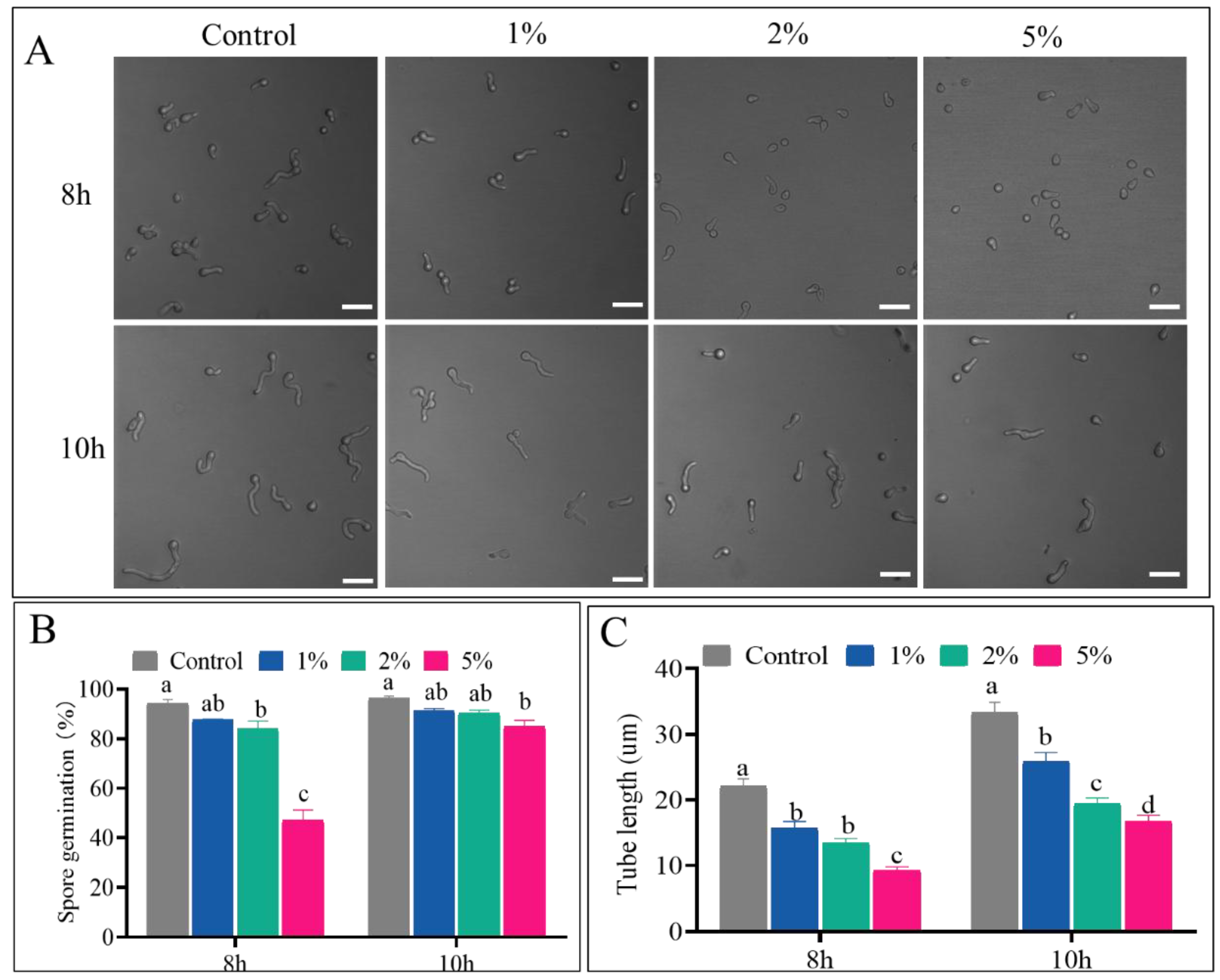 Preprints 193226 g001