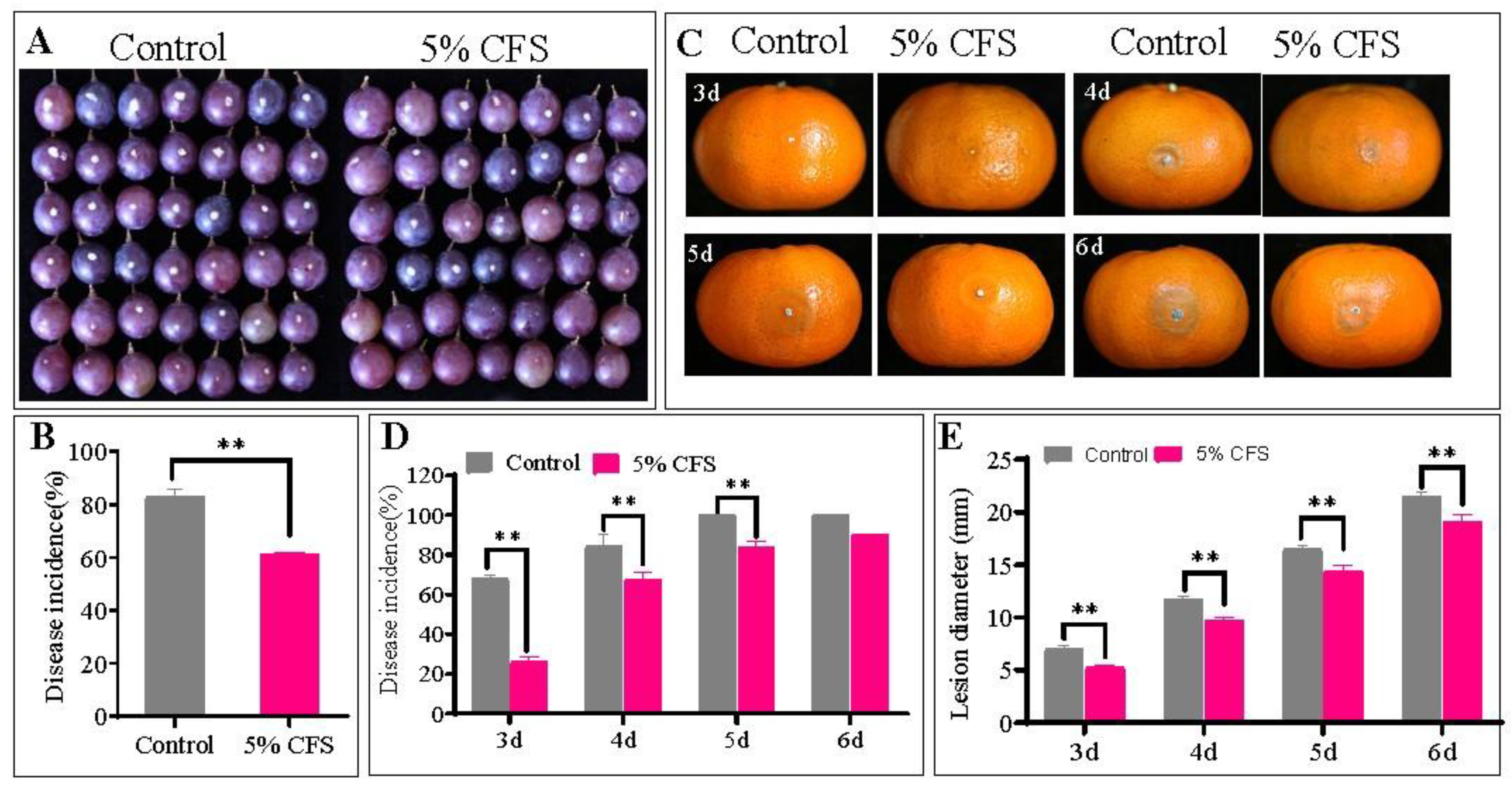 Preprints 193226 g003