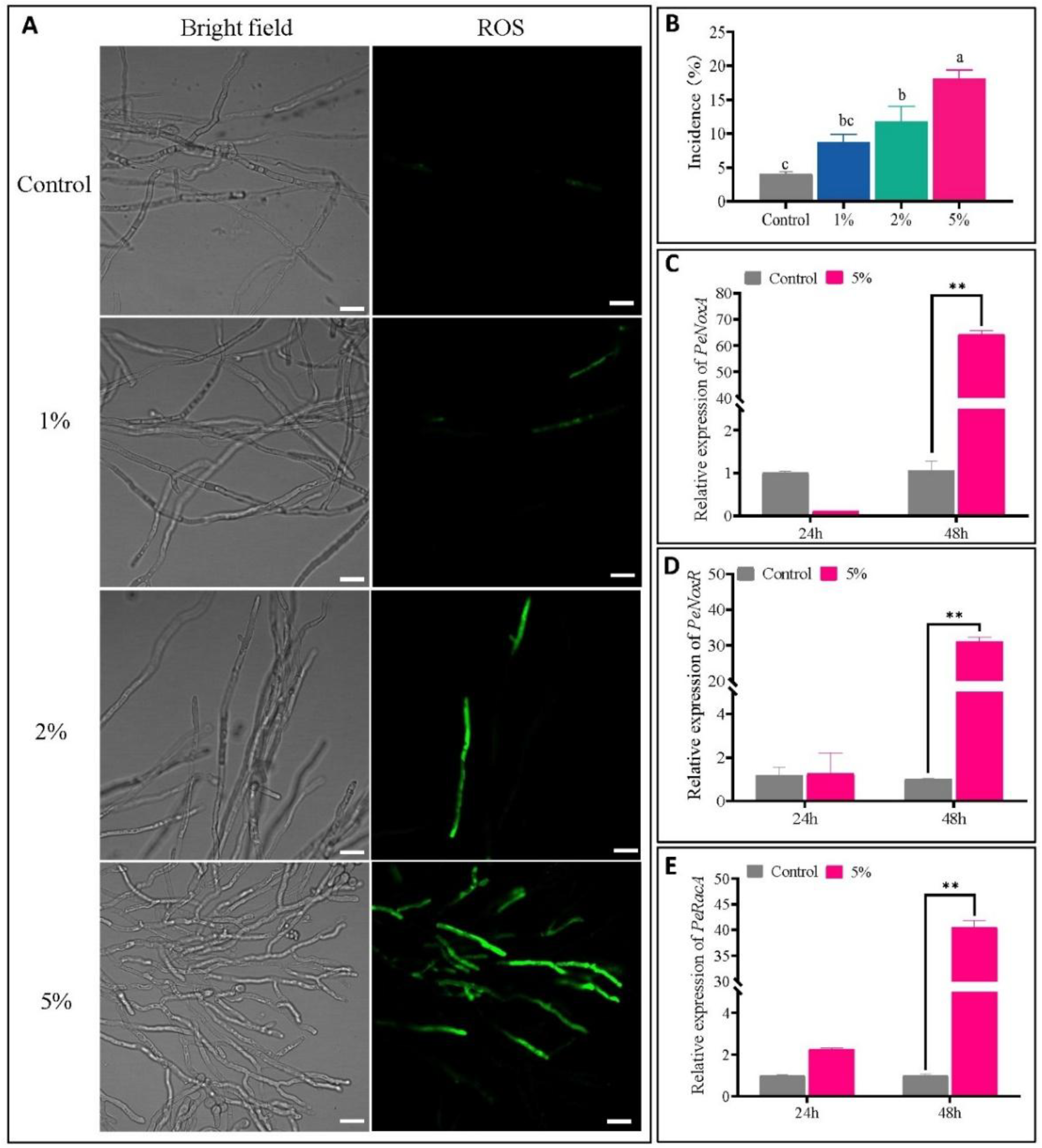 Preprints 193226 g004