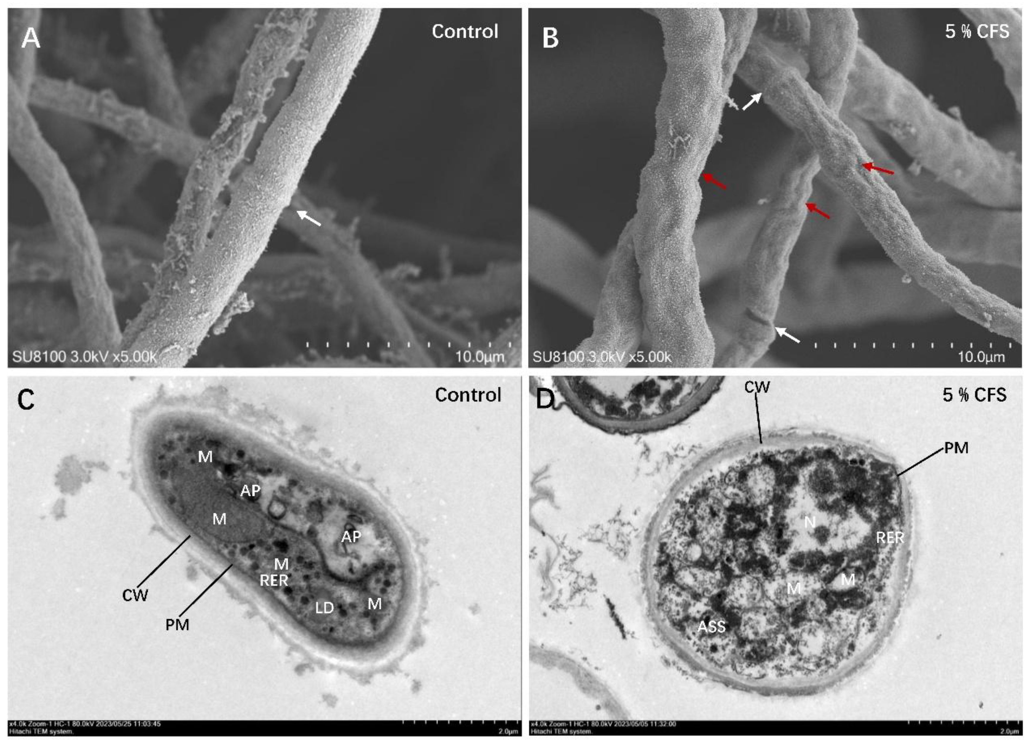 Preprints 193226 g006