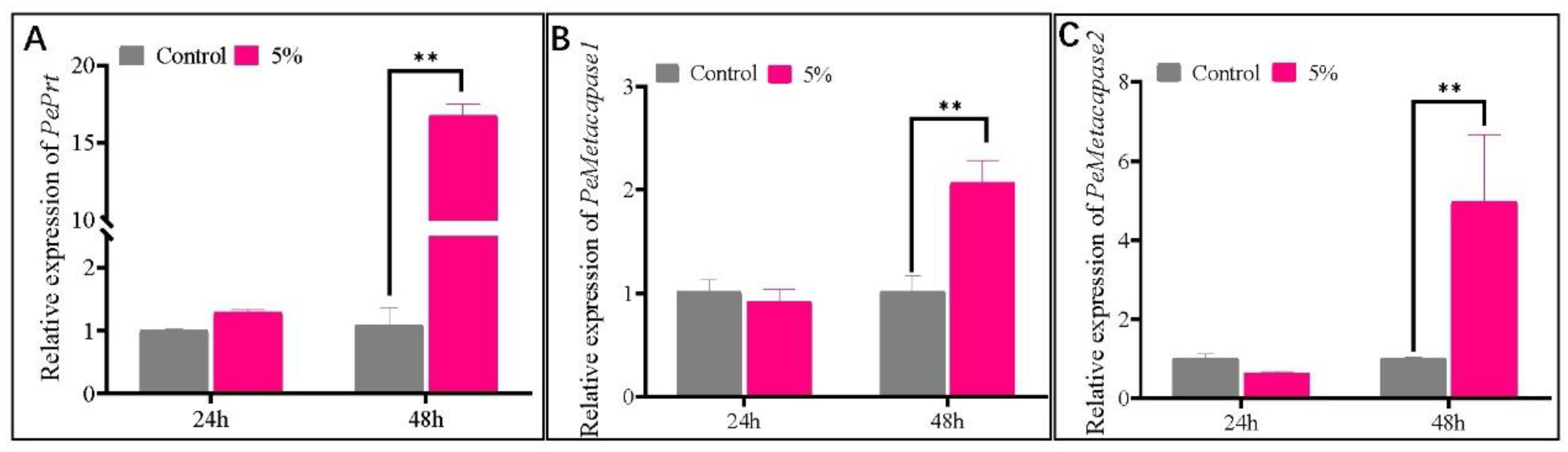 Preprints 193226 g007