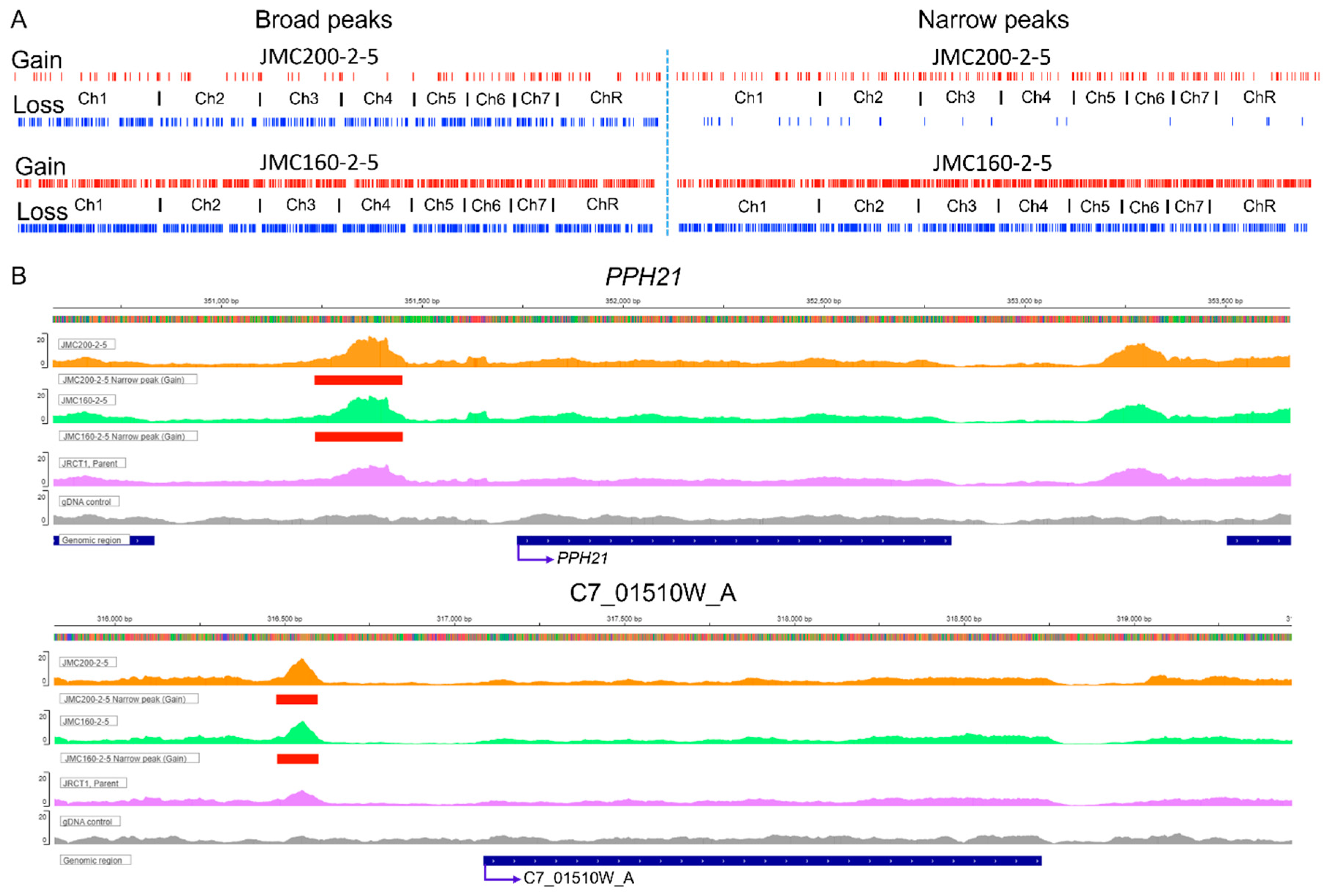 Preprints 144081 g001