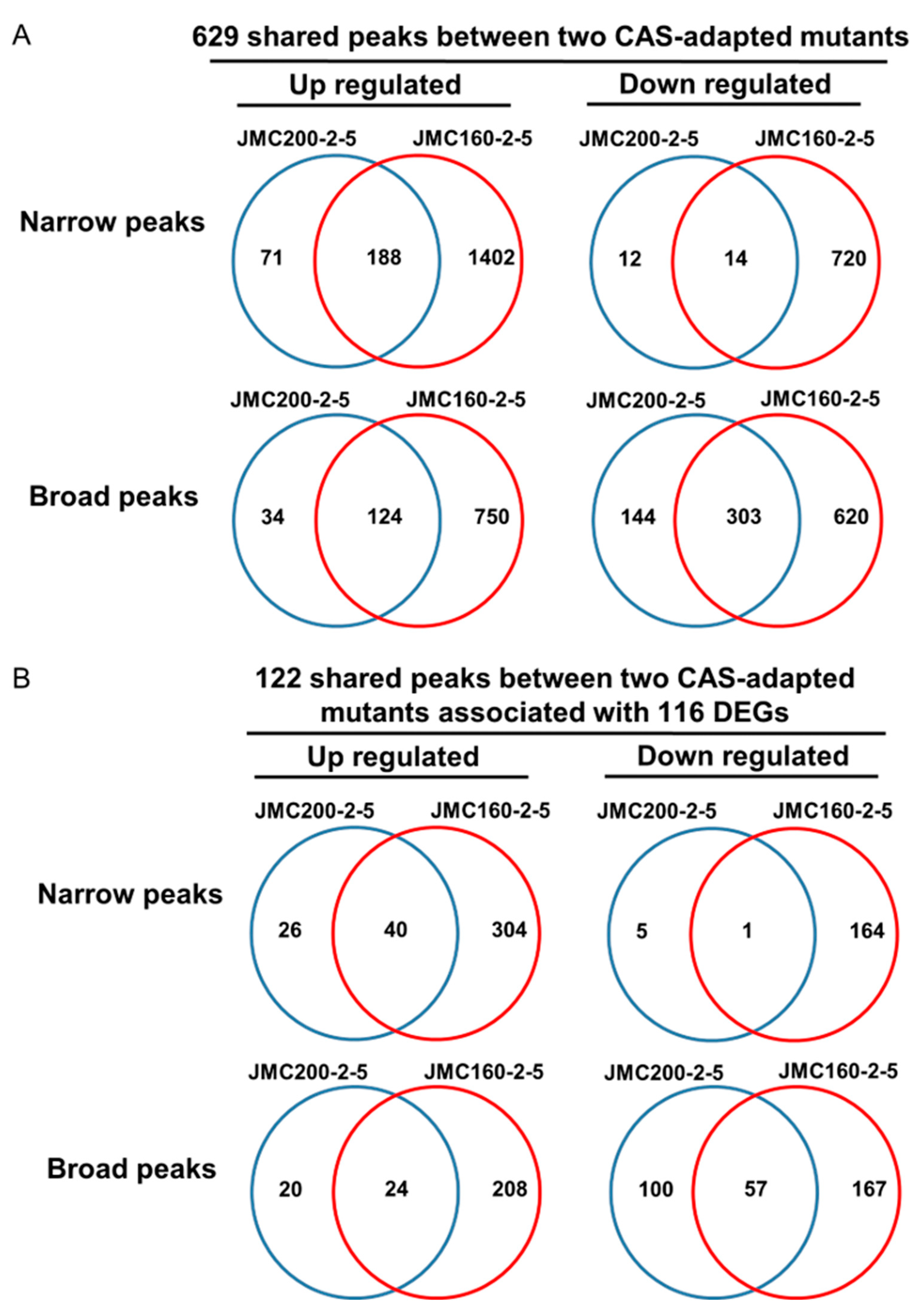 Preprints 144081 g005