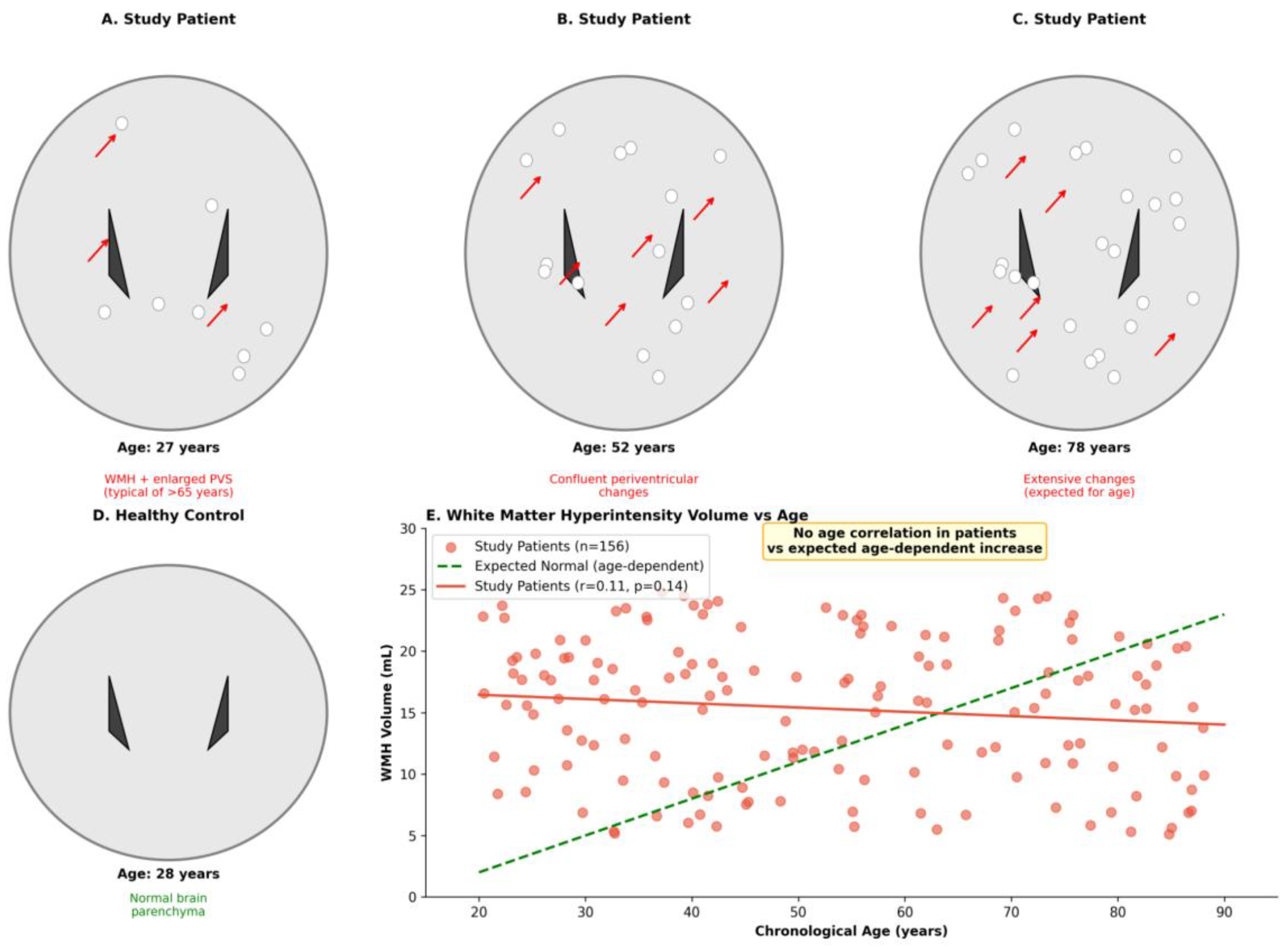 Preprints 209566 g003