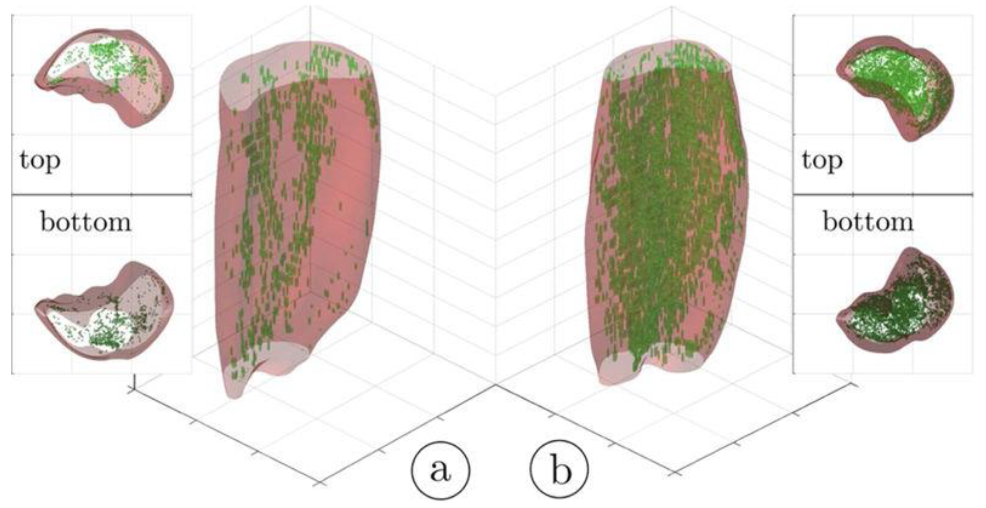 Preprints 114404 g001