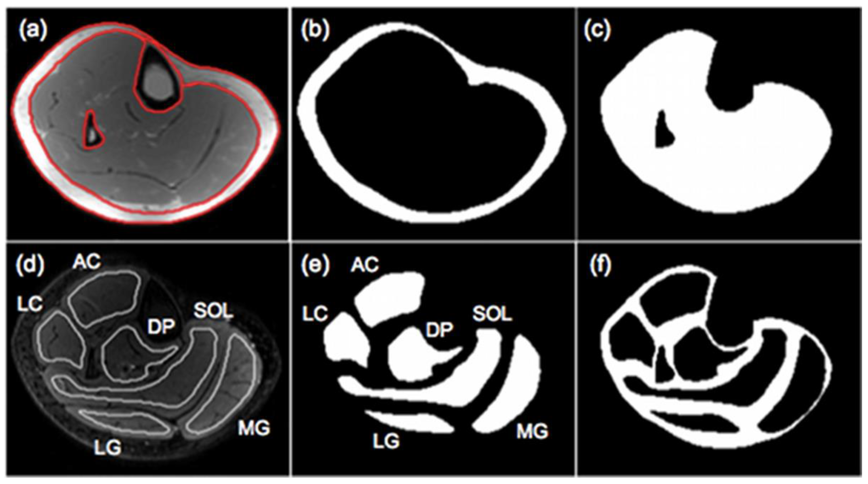 Preprints 114404 g002