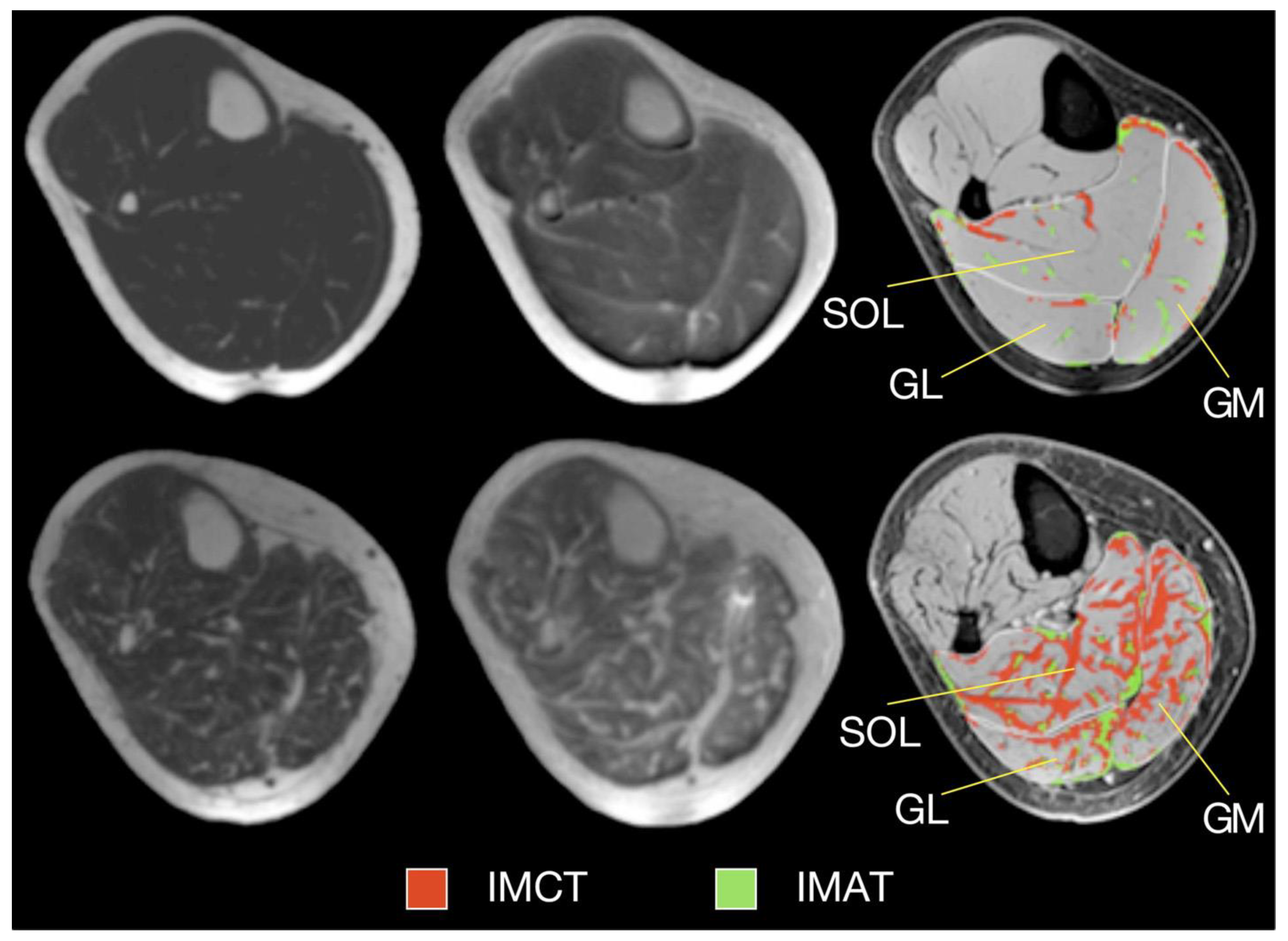 Preprints 114404 g005