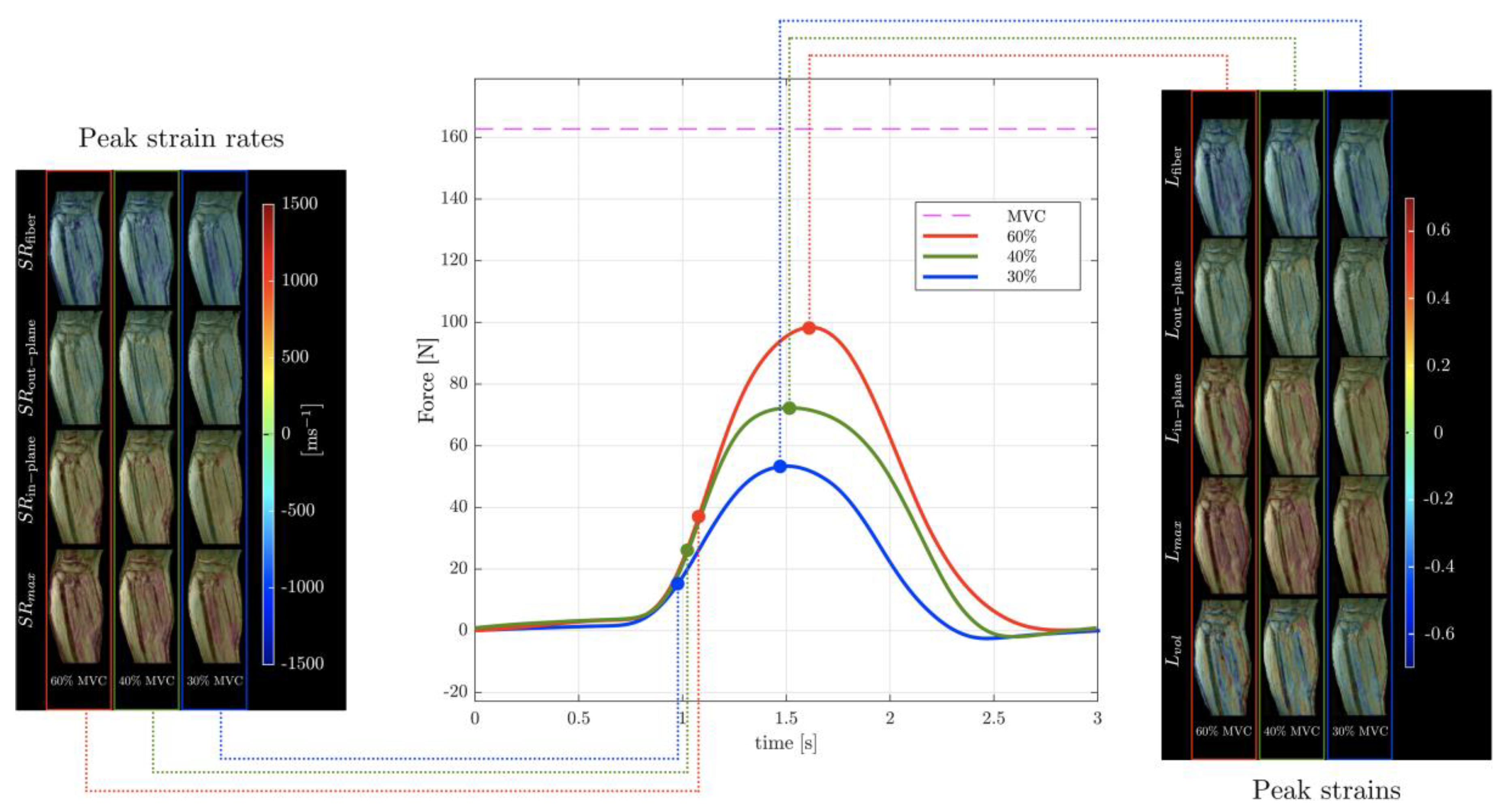 Preprints 114404 g006