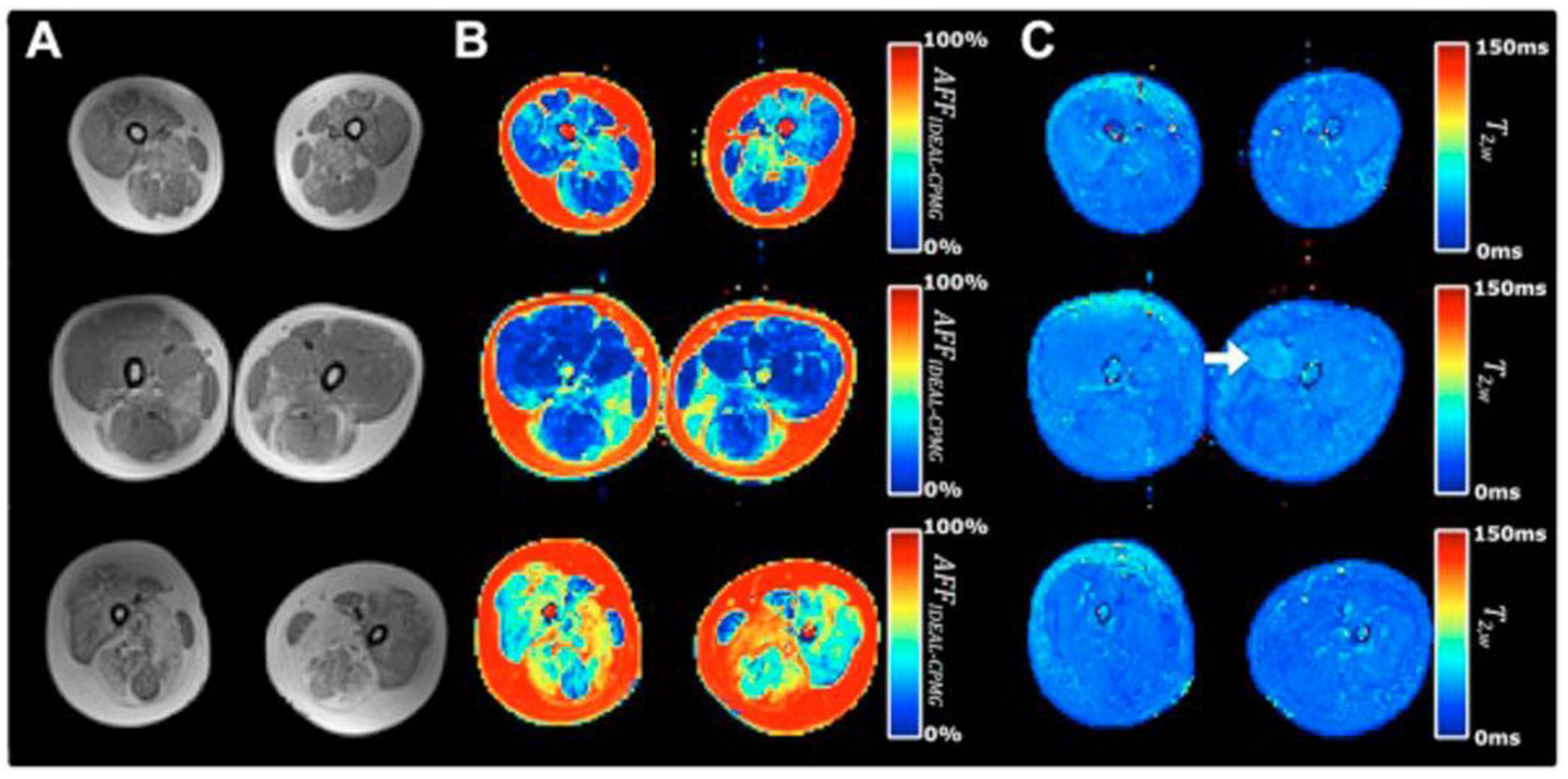 Preprints 114404 g007