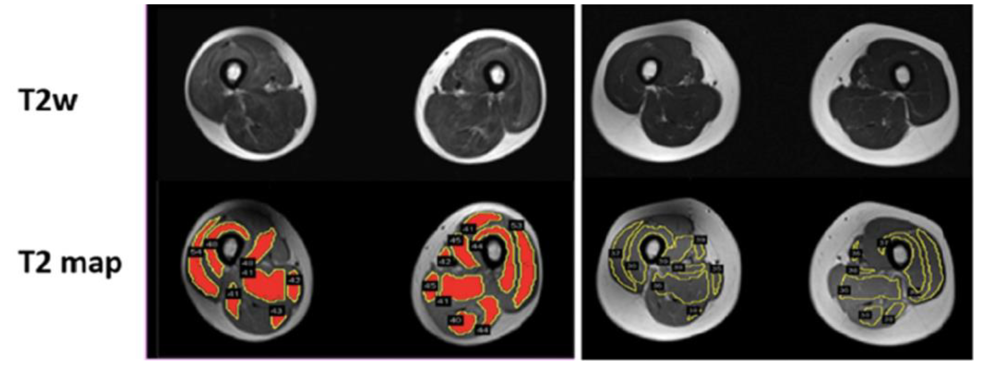 Preprints 114404 g008