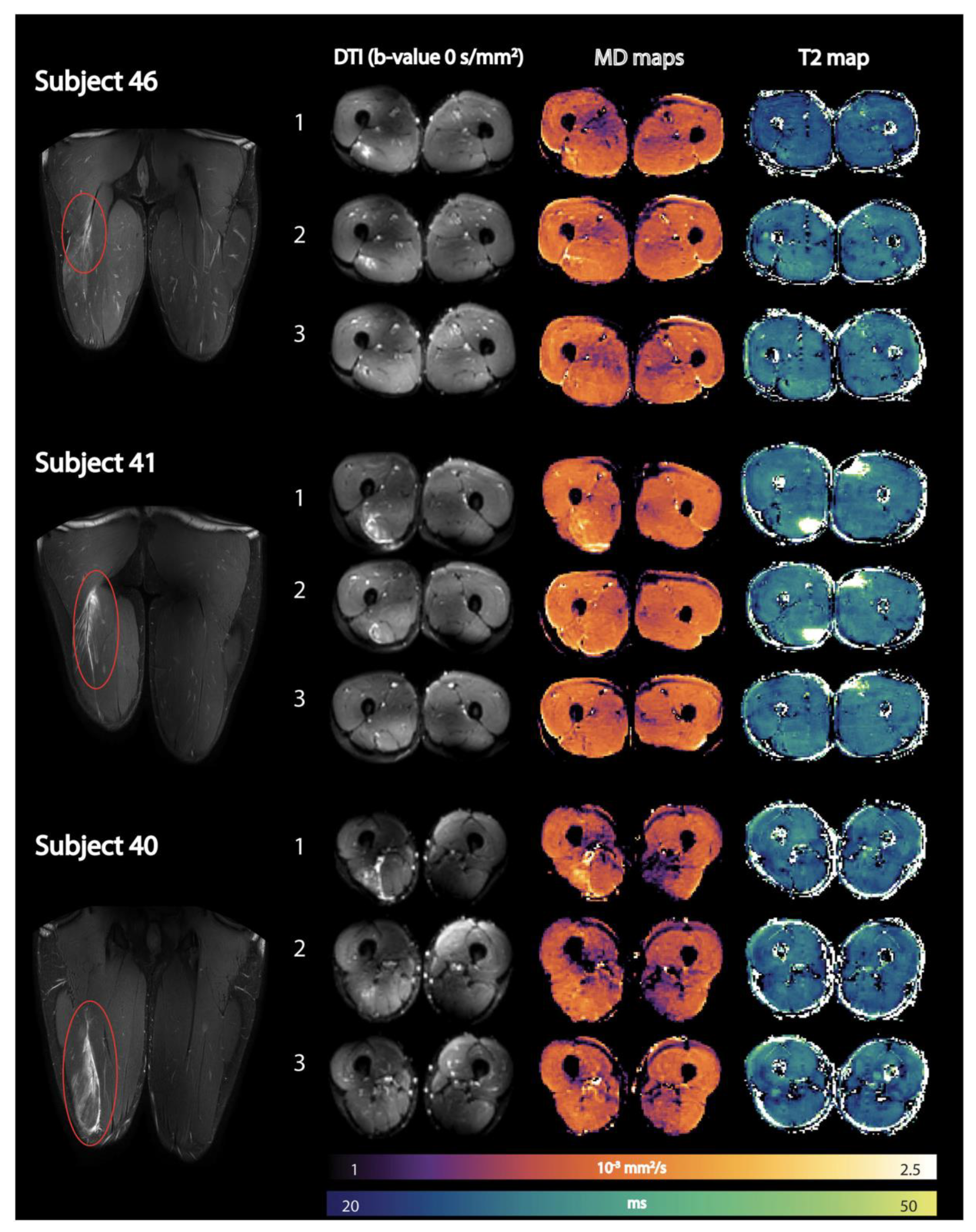 Preprints 114404 g010