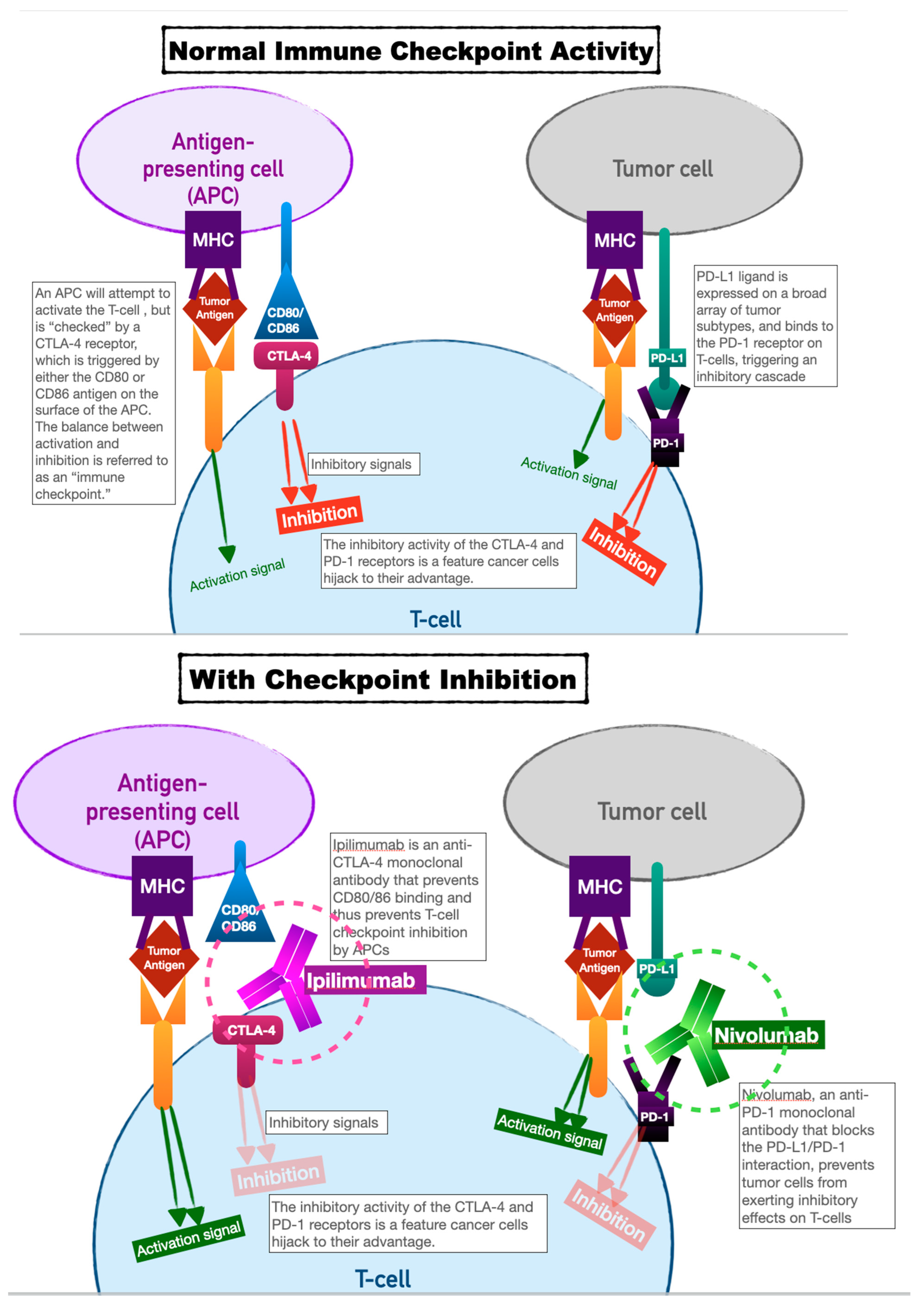 Preprints 76566 g001