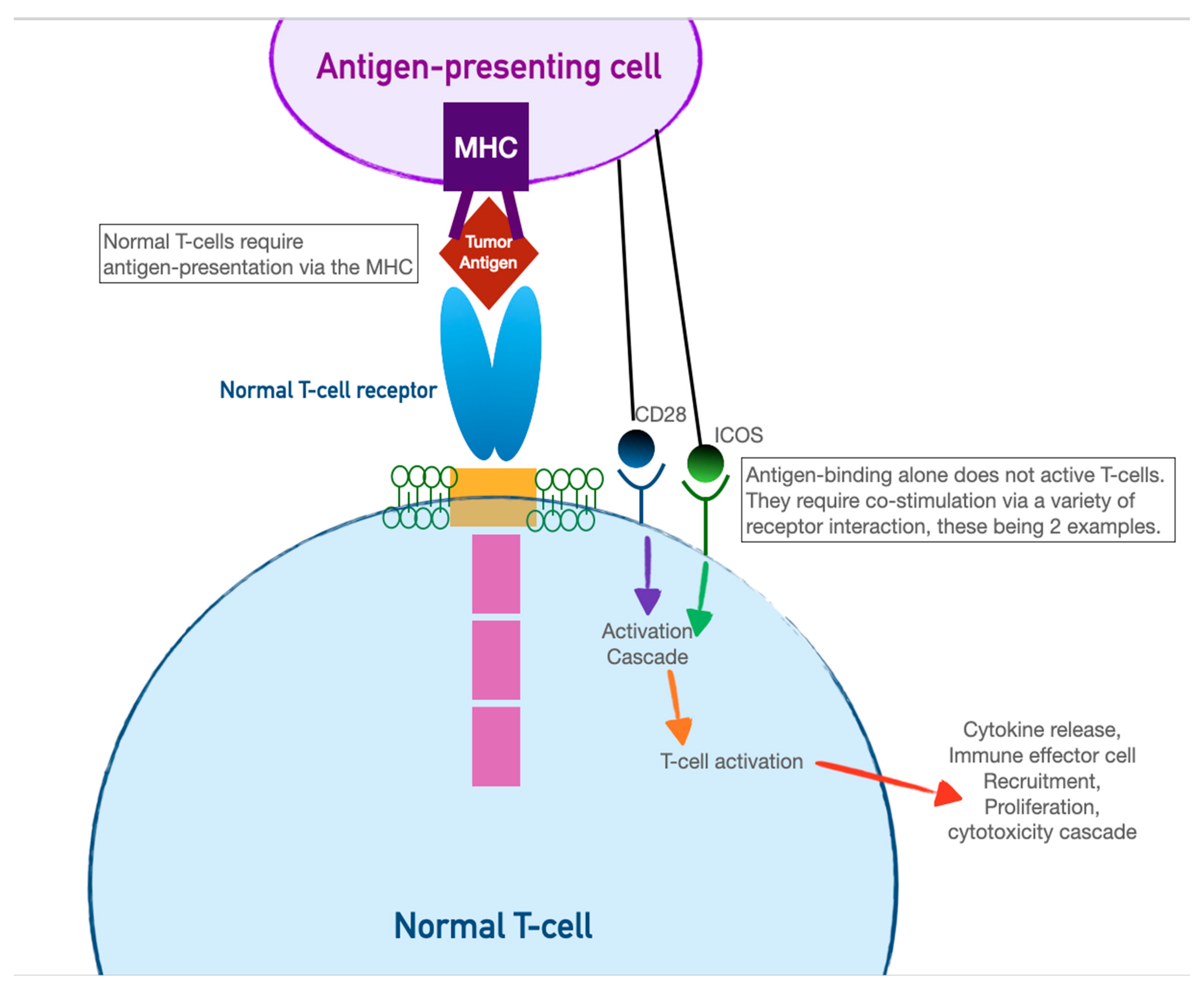 Preprints 76566 g002a