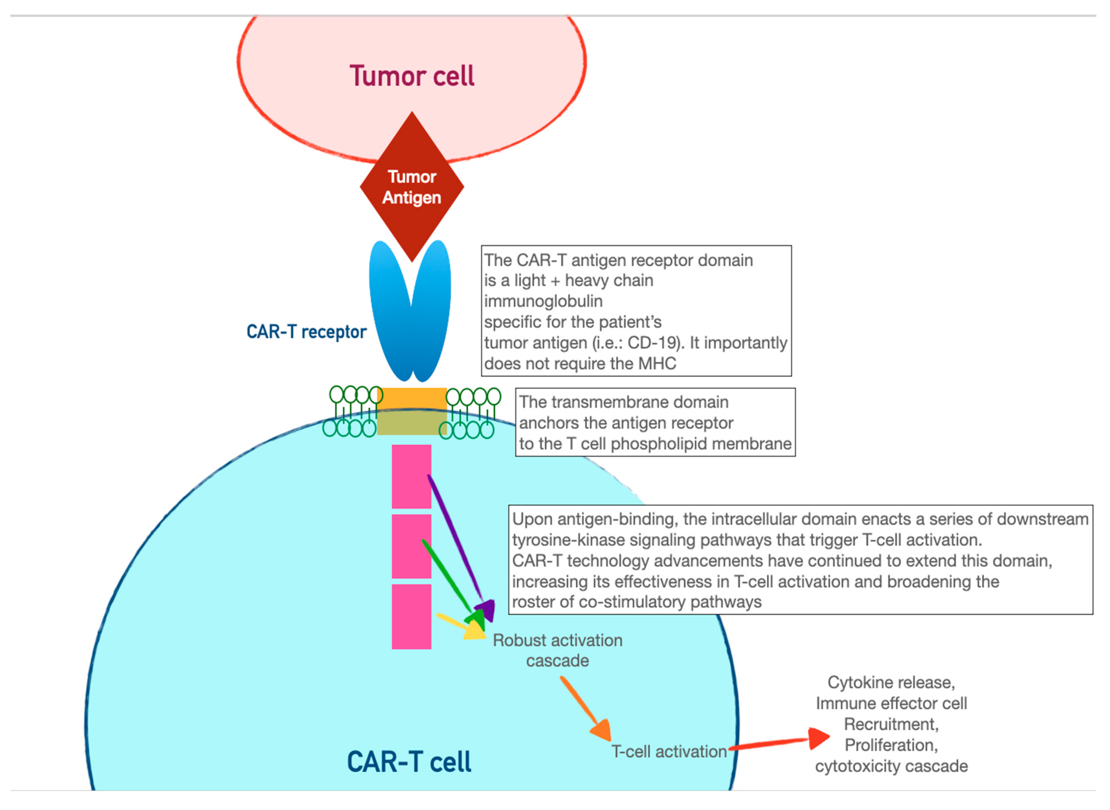 Preprints 76566 g002b