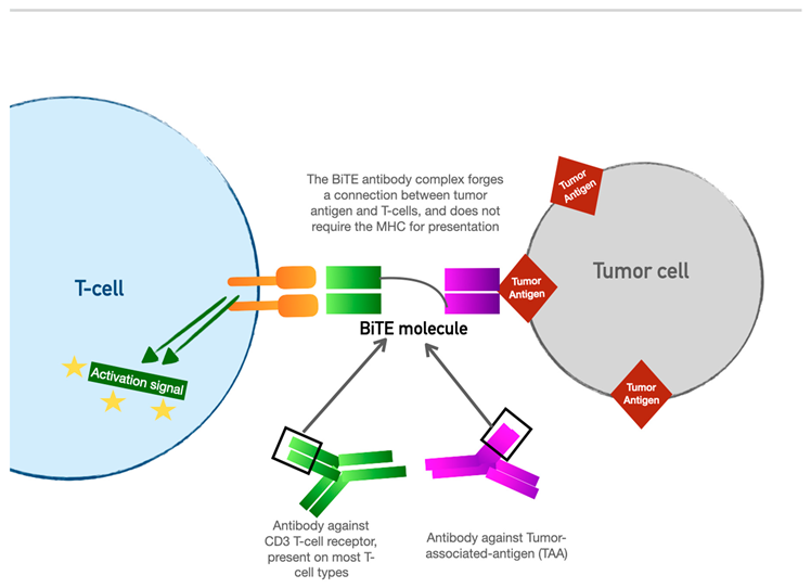Preprints 76566 i001