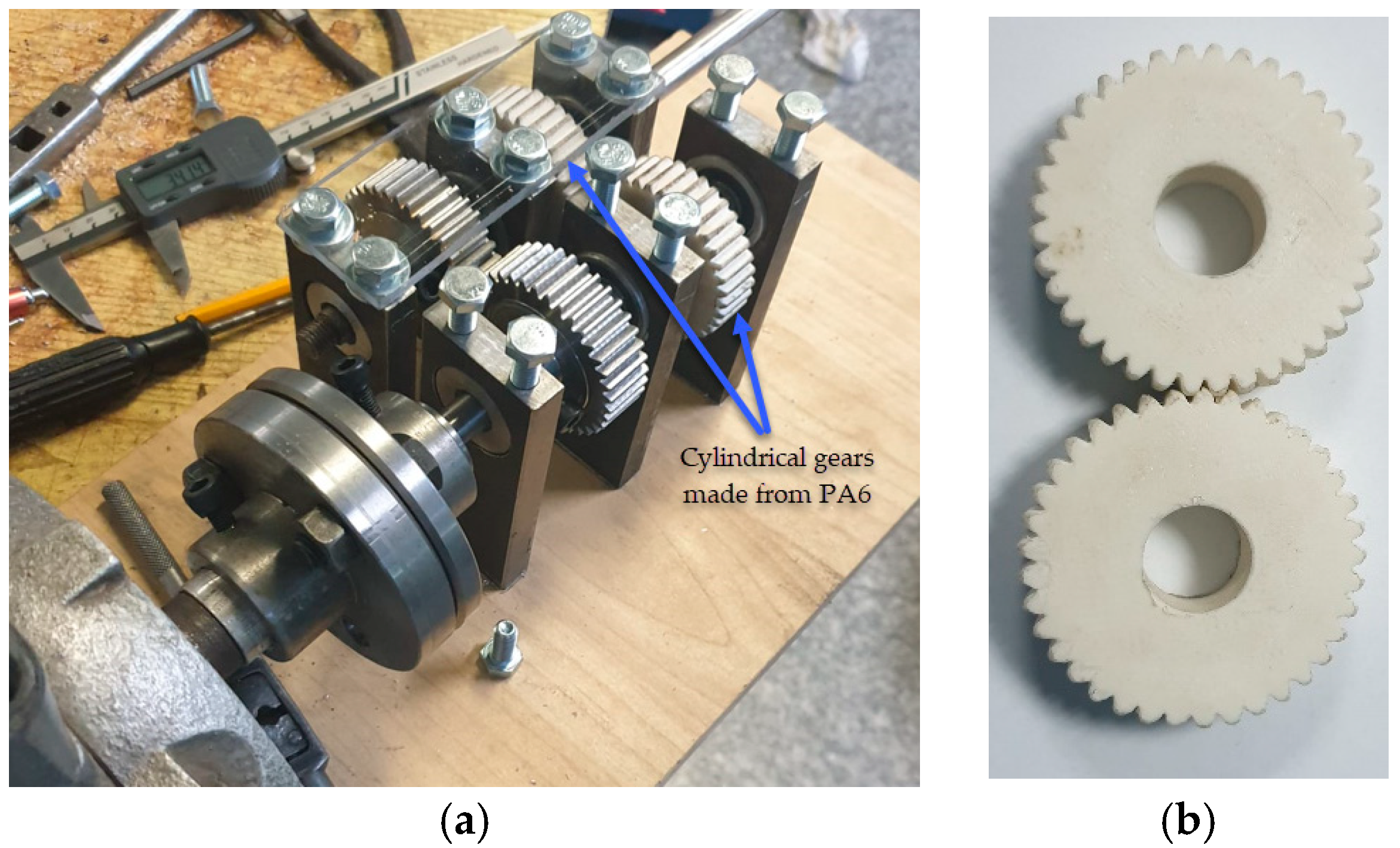 Preprints 115242 g003