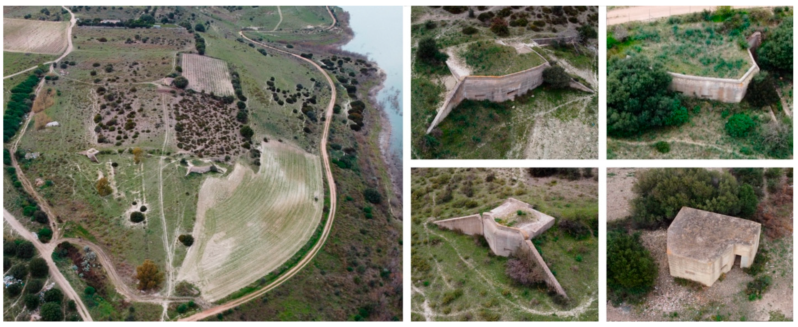 Preprints 170079 g005