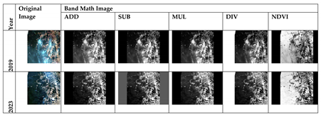 Preprints 139448 i001
