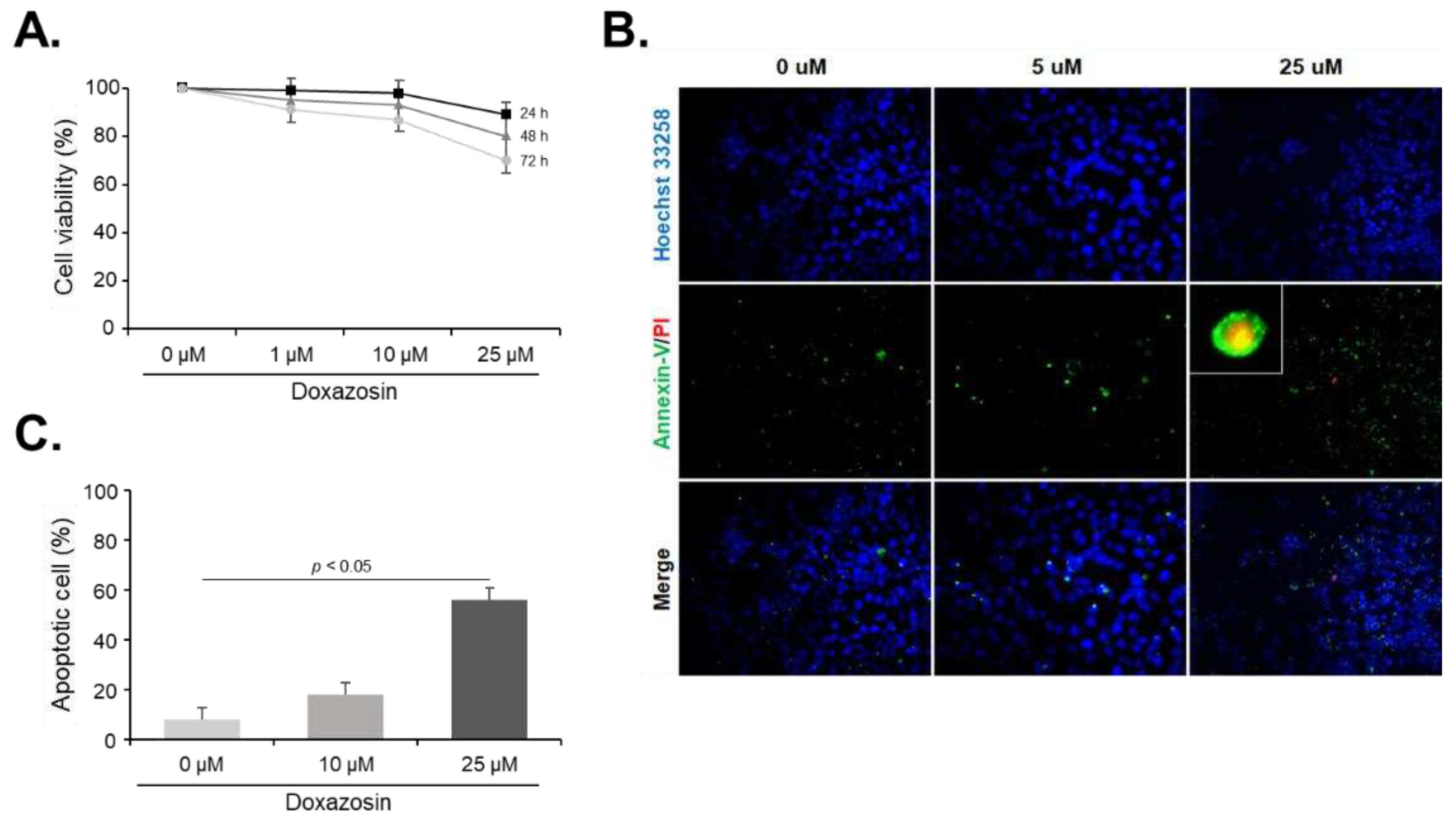 Preprints 95788 g001