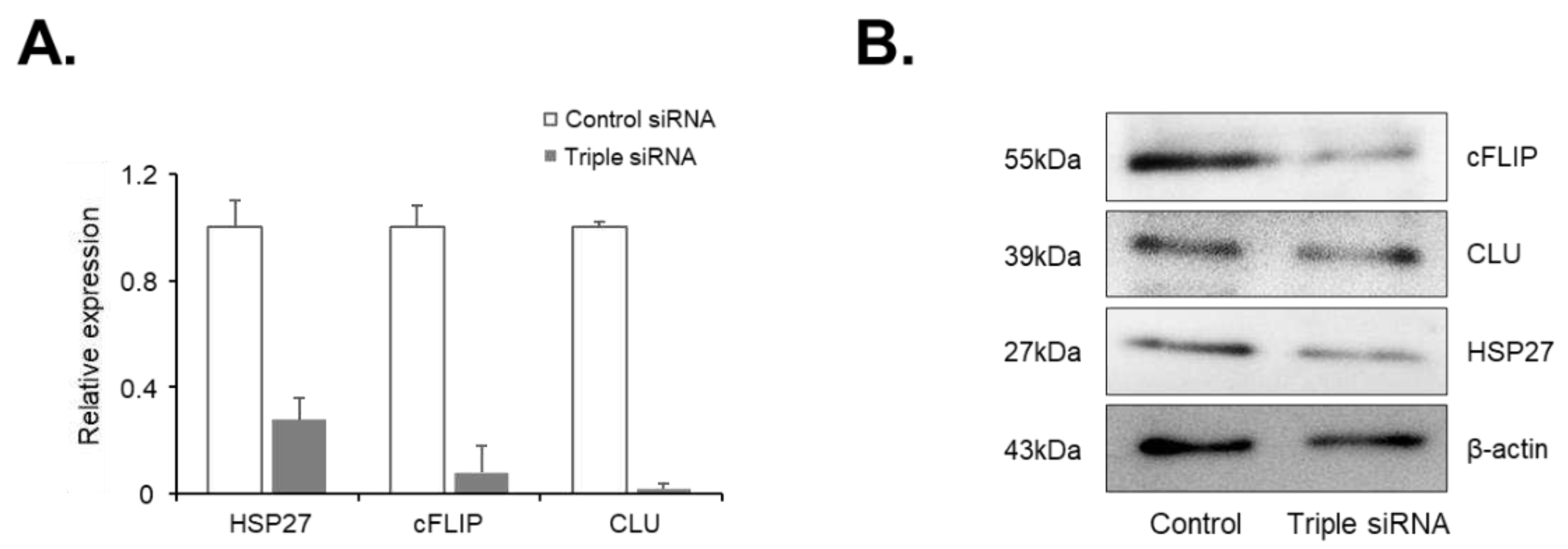 Preprints 95788 g003