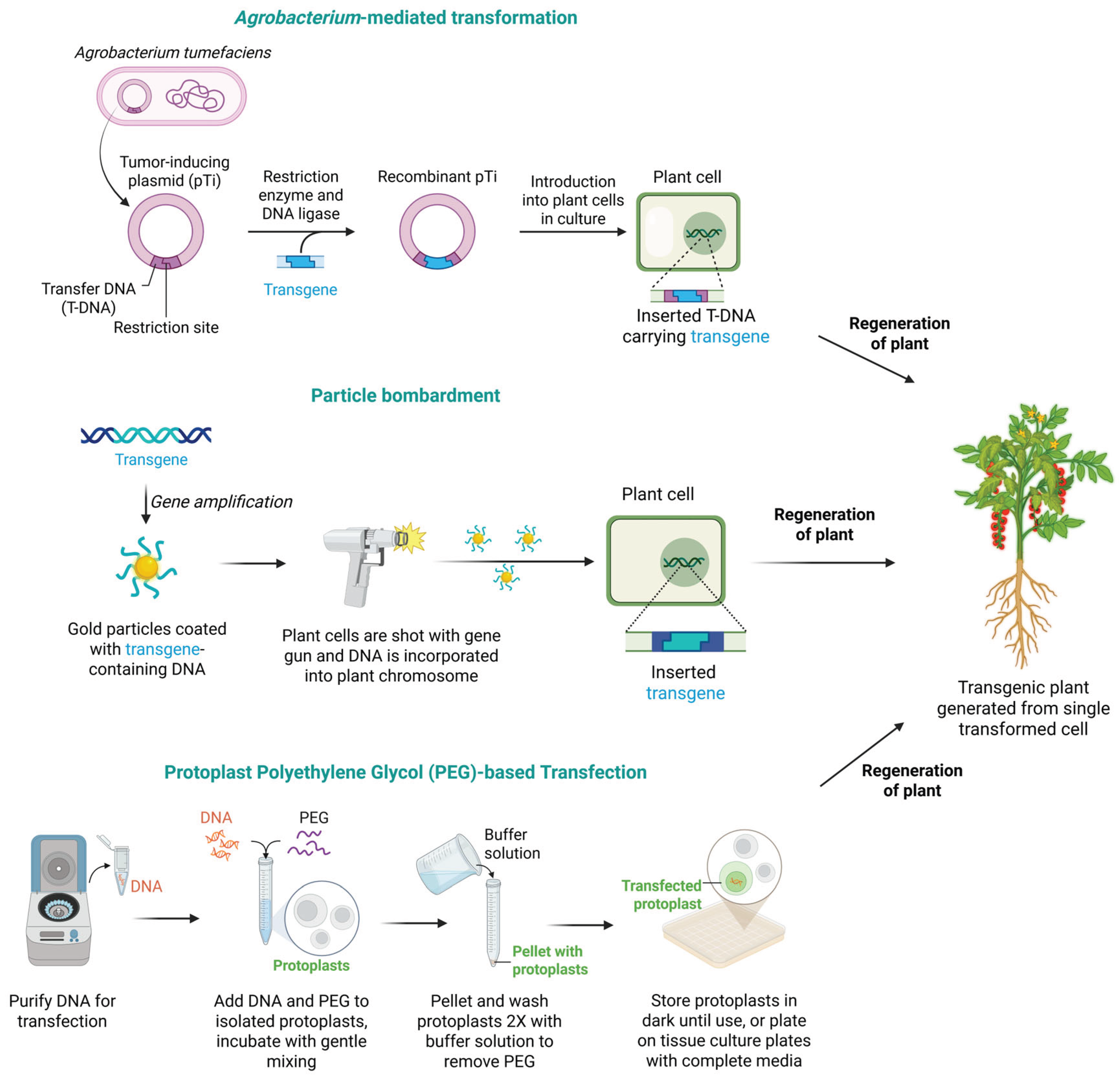 Preprints 177267 g001