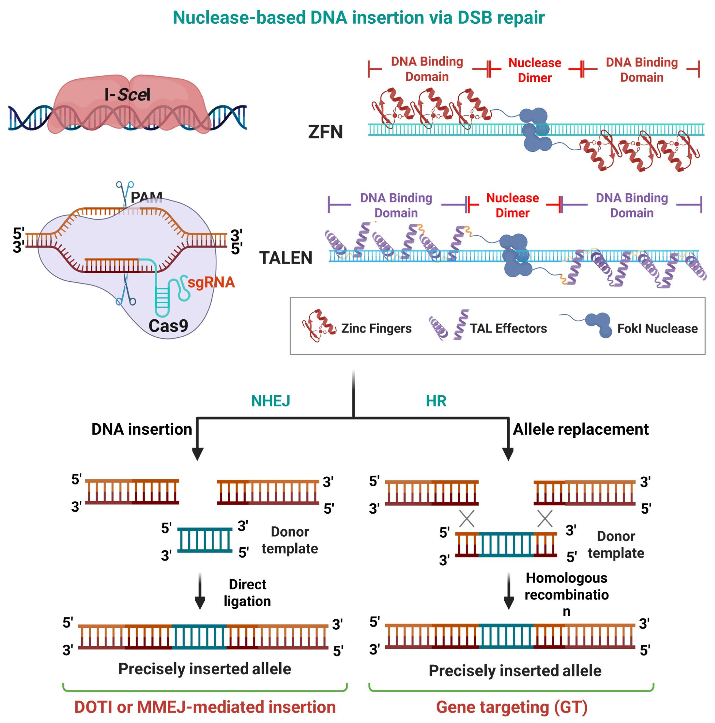 Preprints 177267 g002