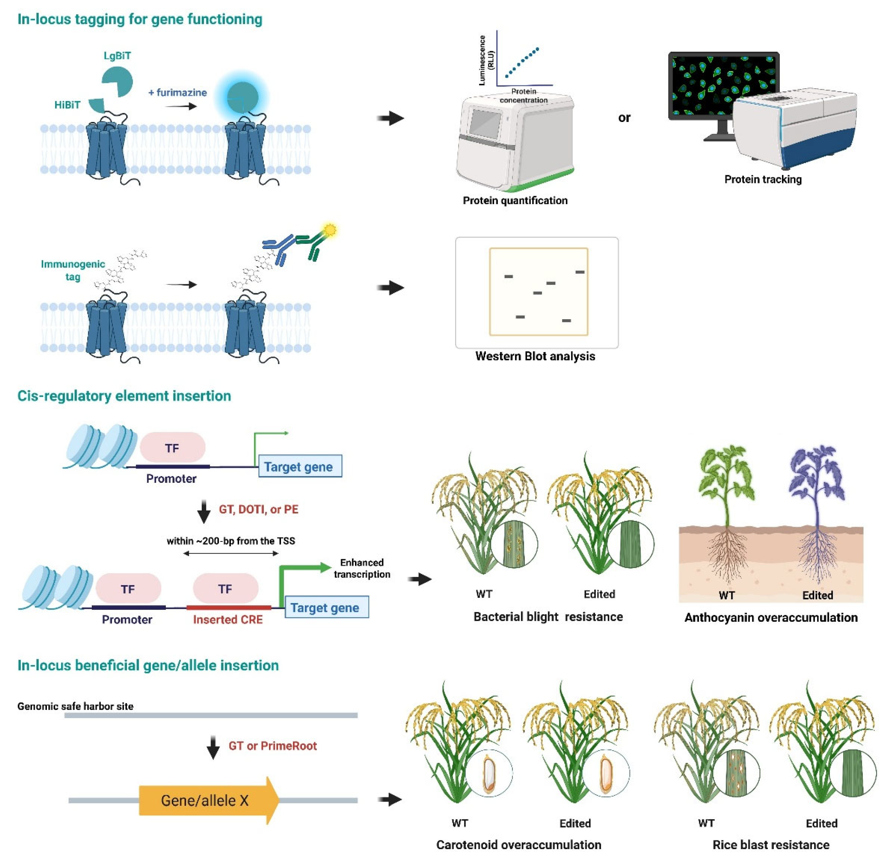 Preprints 177267 g004