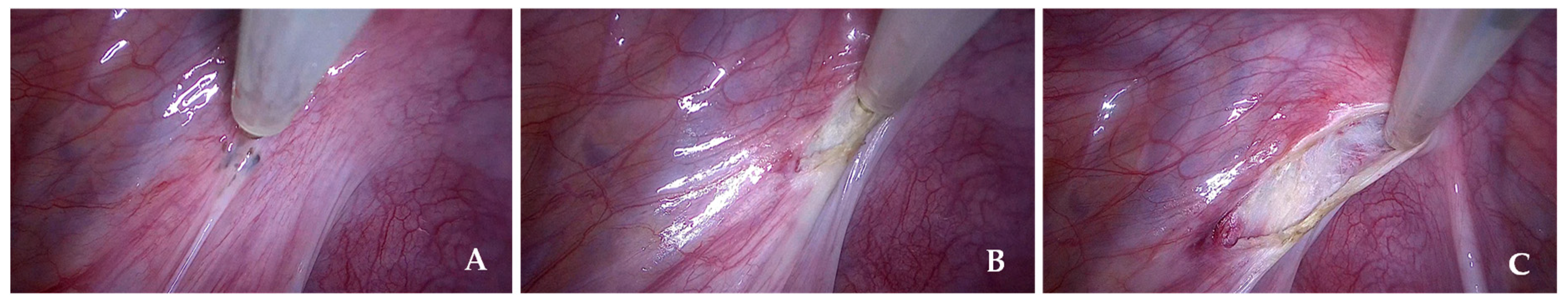 Preprints 172078 g002