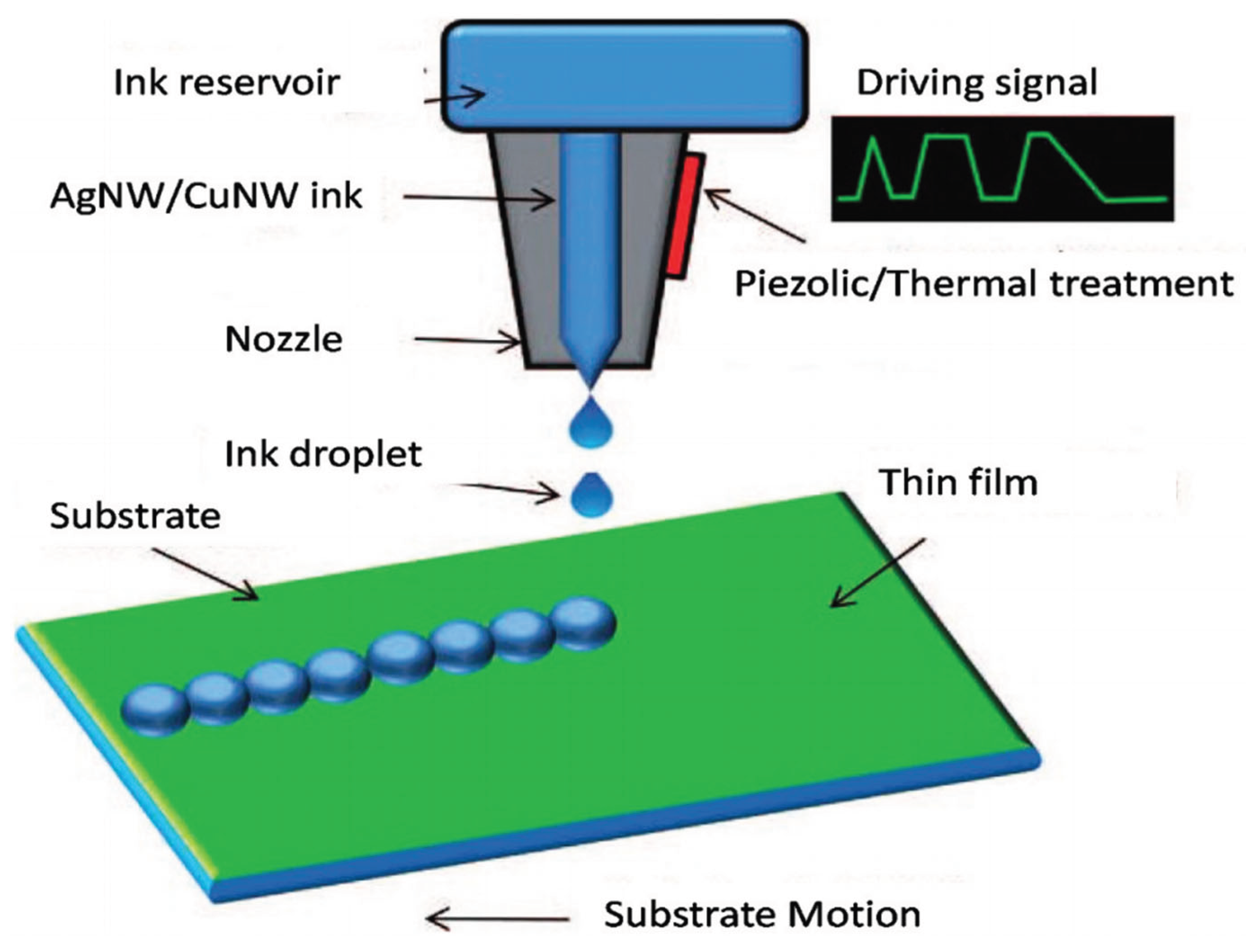 Preprints 164613 g003